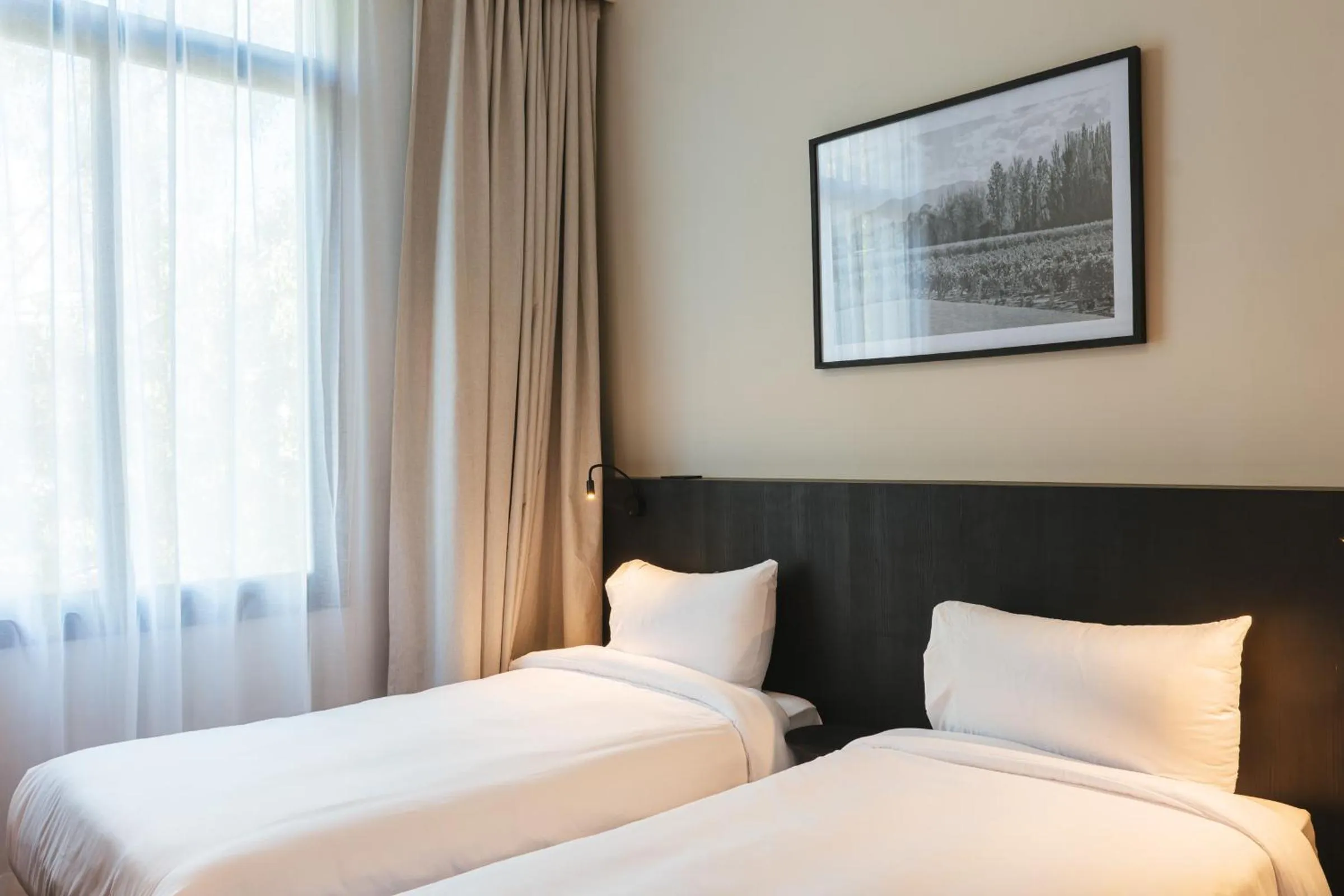 Bed in Main By Babel