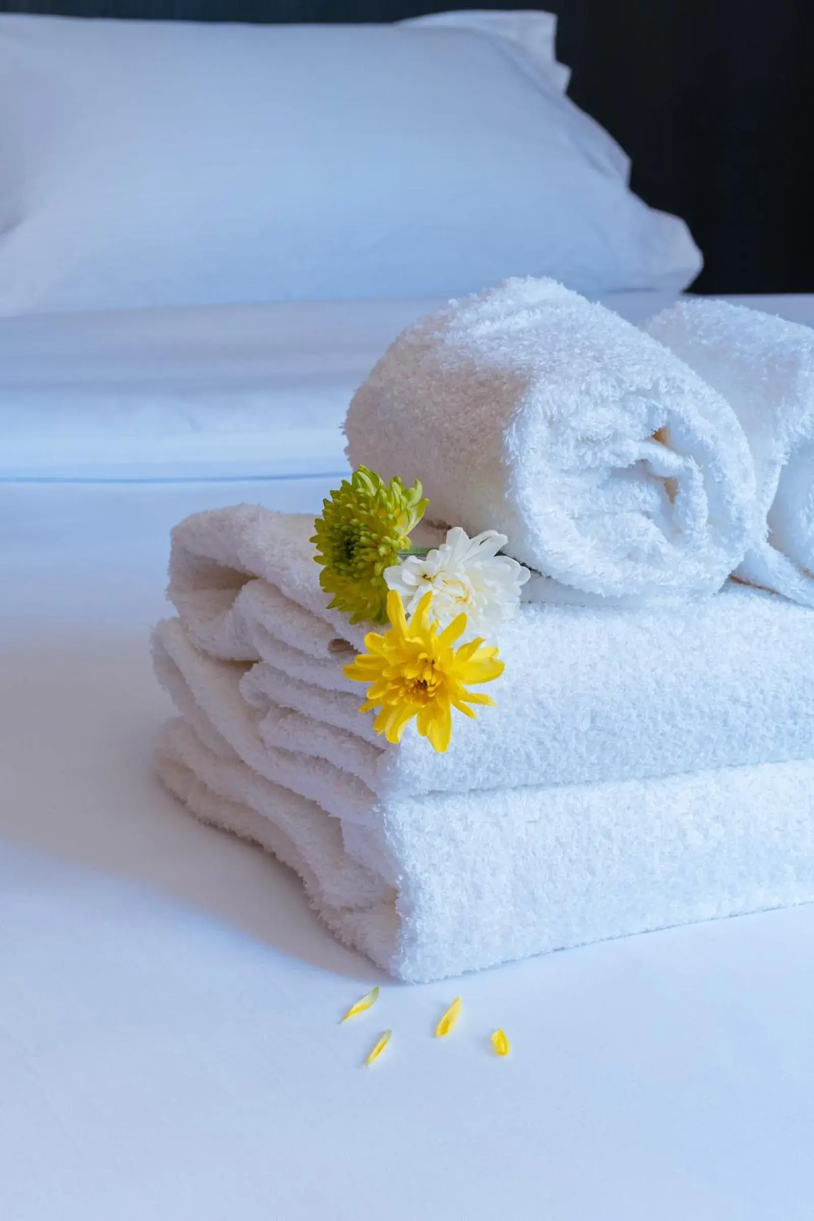 Deluxe Double or Twin Room in Main By Babel Deluxe Double or Twin Room in Main By Babel