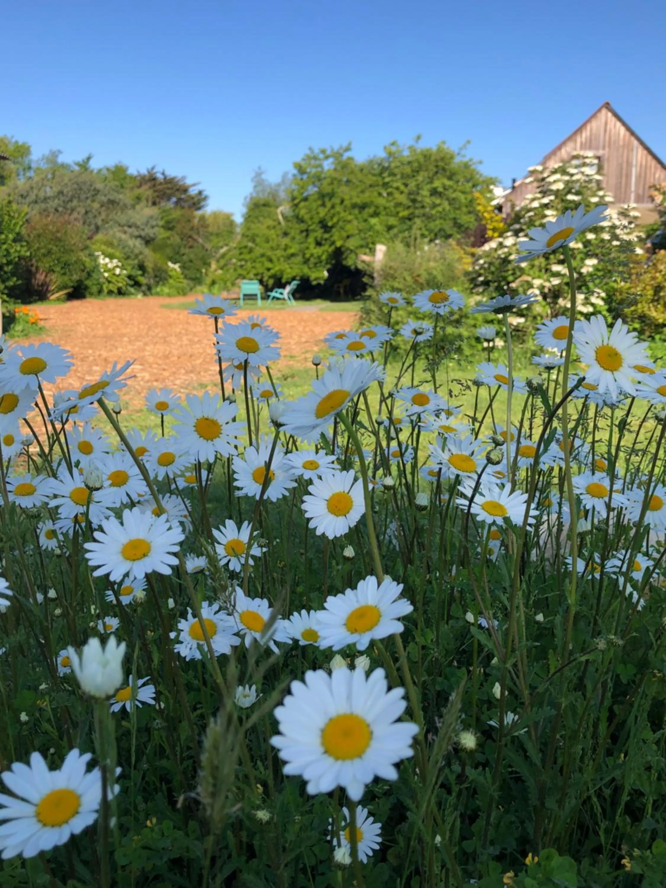 Les Chambres d'Hôtes de Bordustard