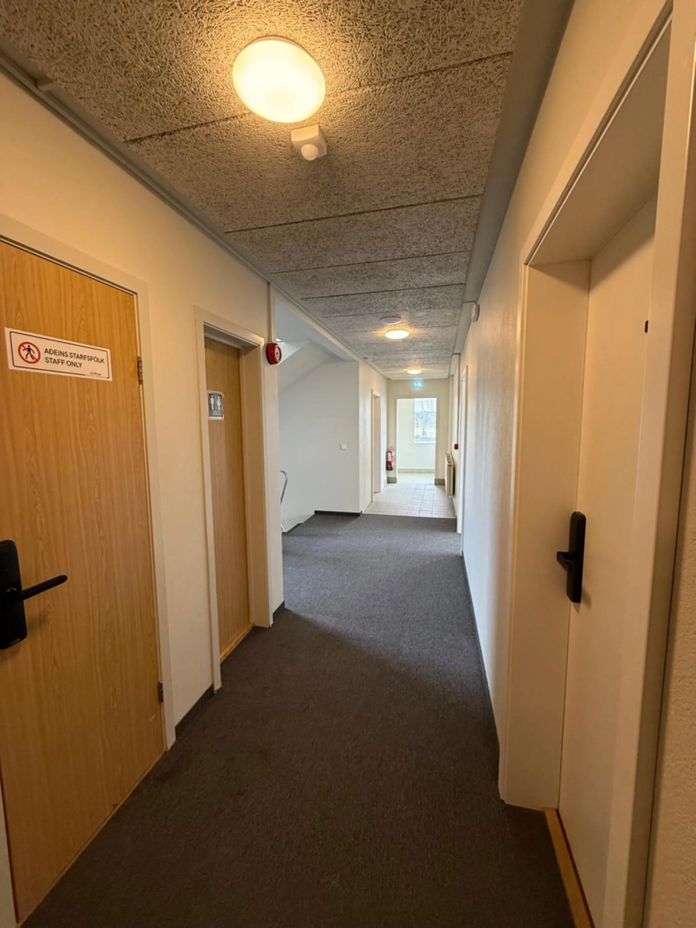 Toilet in Skogar Hostel