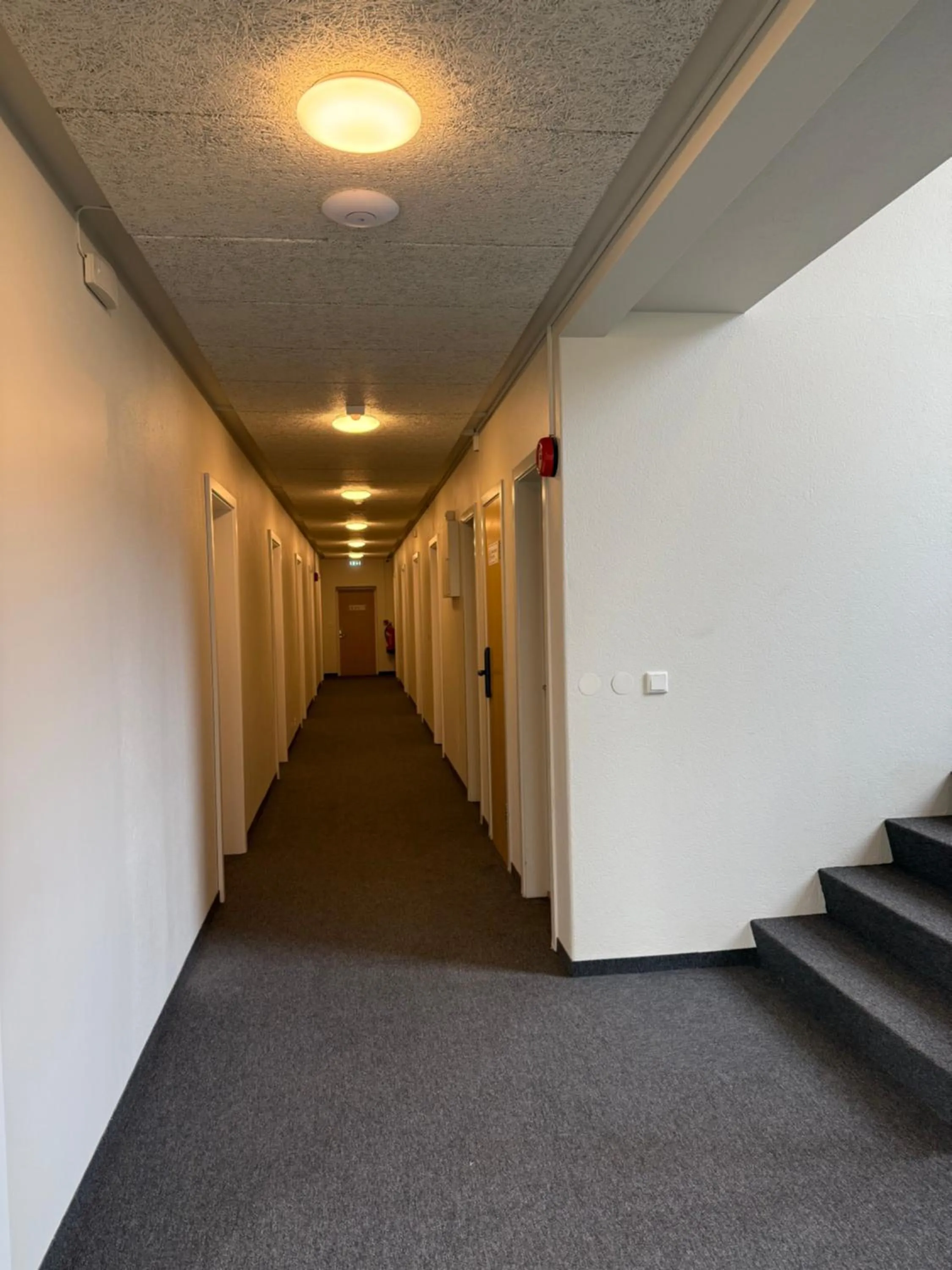 Facade/entrance in Skogar Hostel