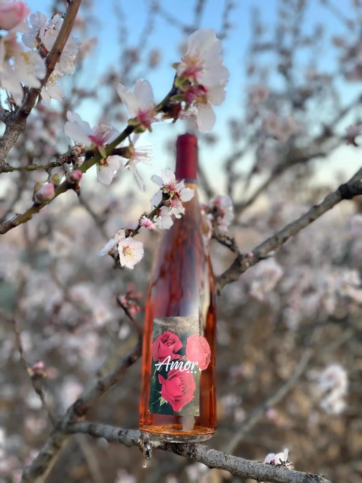 Garden view in B&B Le Albare