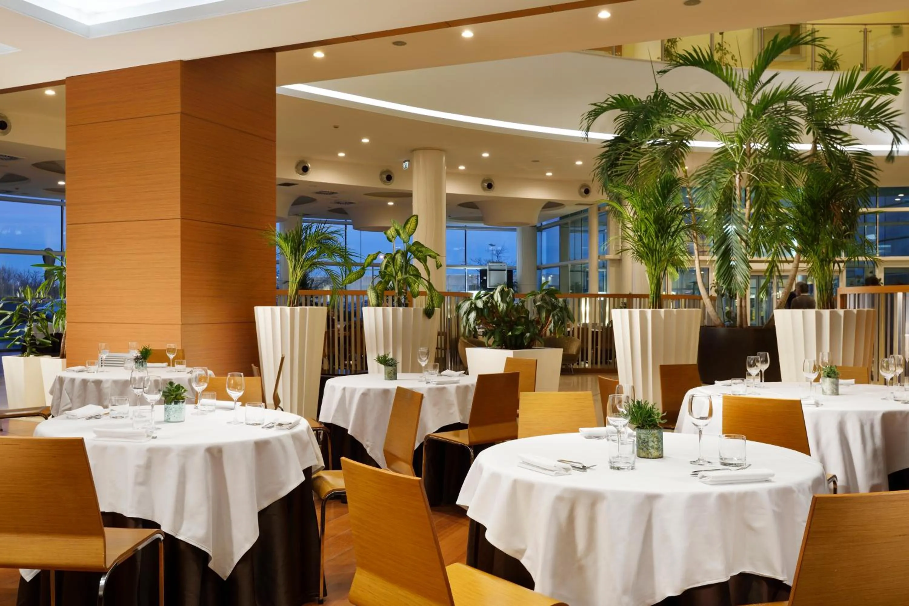 Restaurant/places to eat in Hotel Diamante
