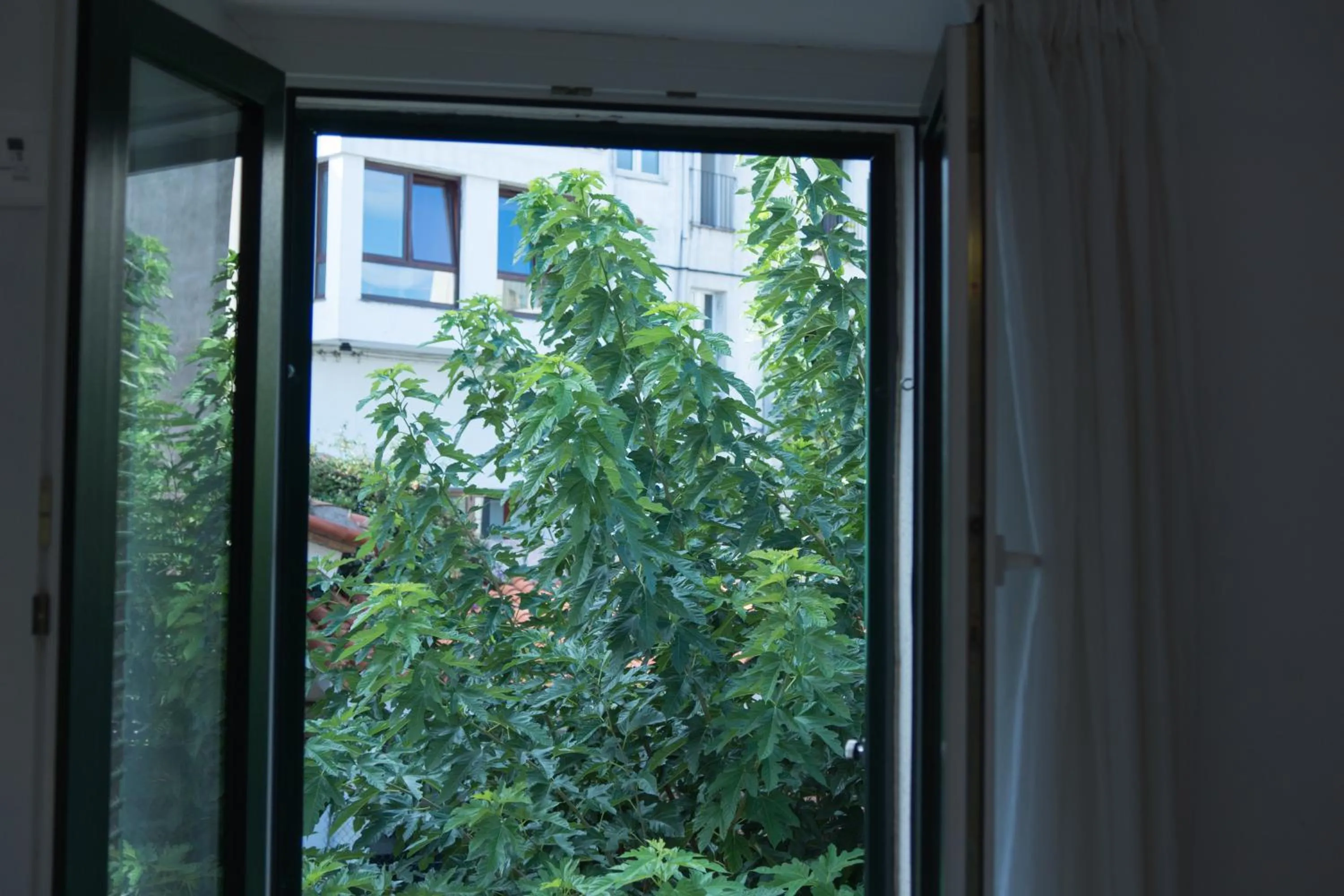 View (from property/room) in Hostal Marina Cadaqués