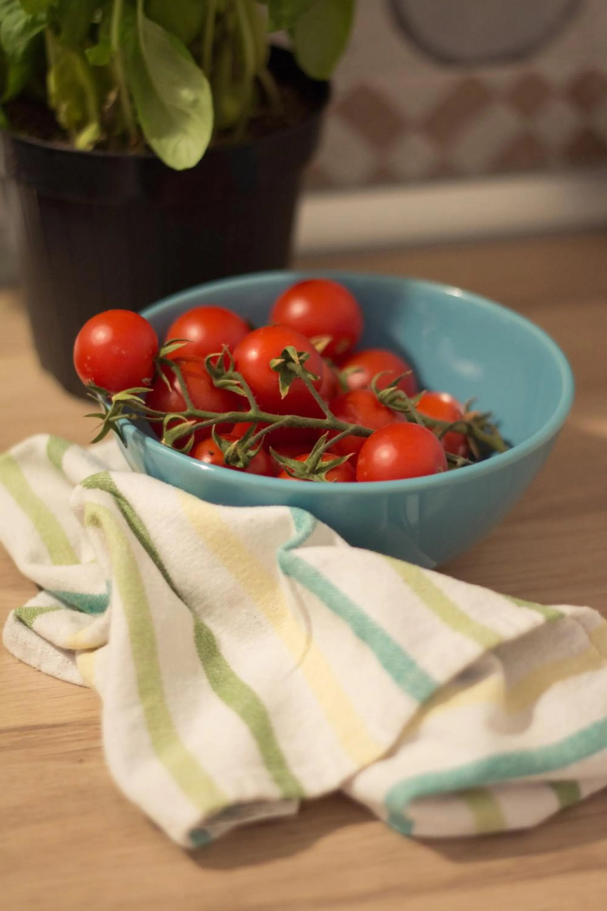 Lunch in HolidayMonopoli