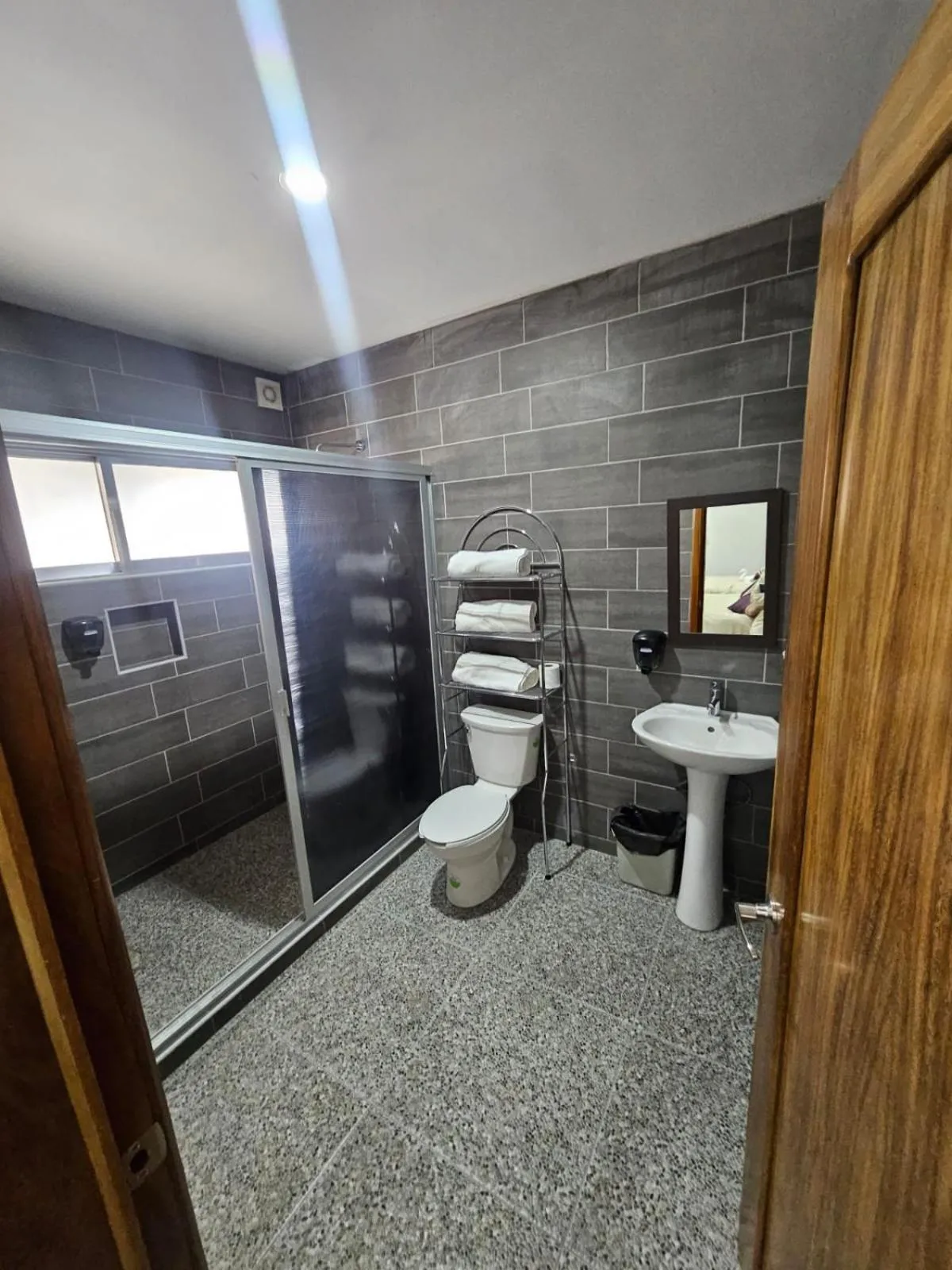 Toilet in MC HOTEL Saldarriaga Querétaro