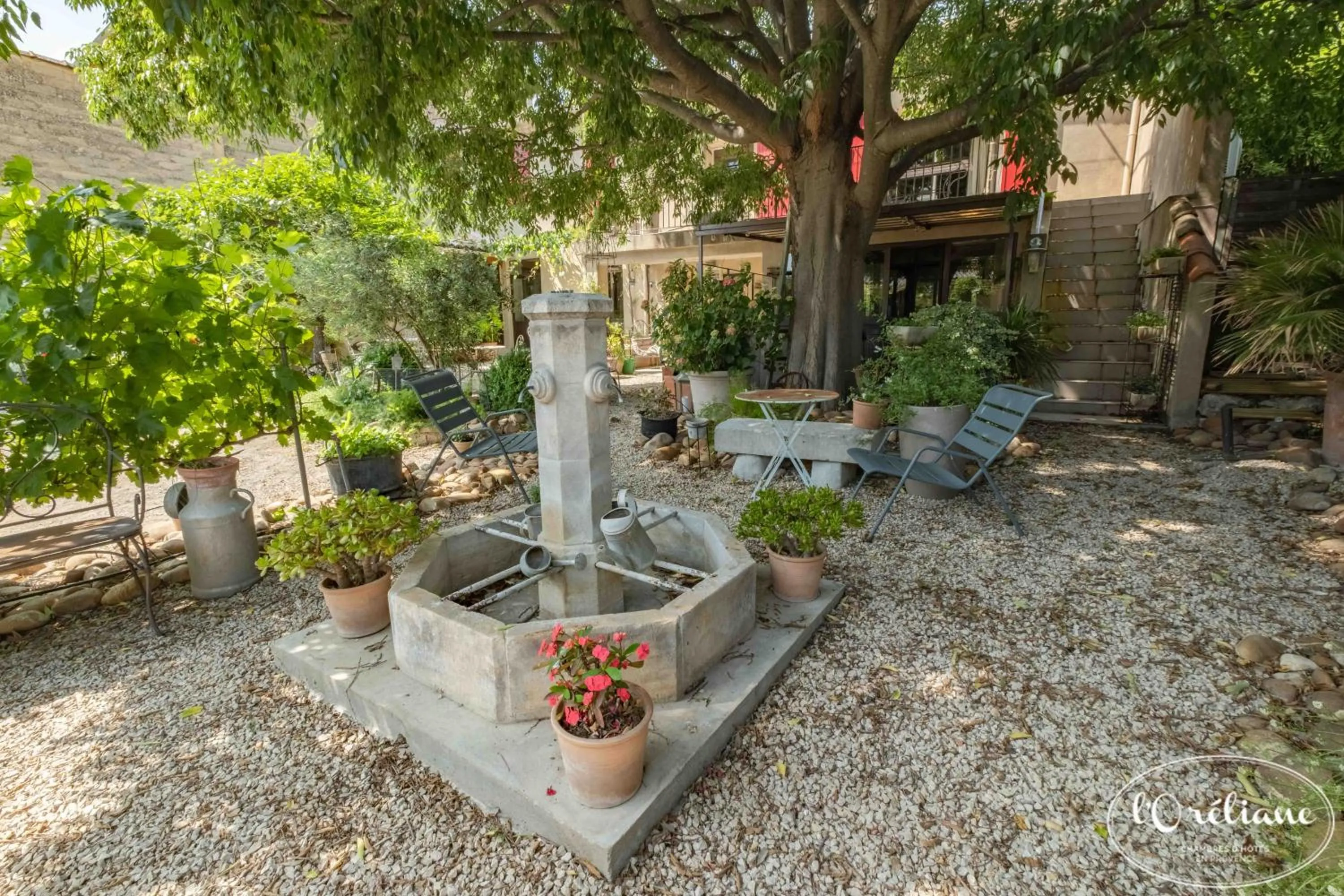 Garden in CHAMBRES D'HÔTES L'Oréliane en Provence Adults Only