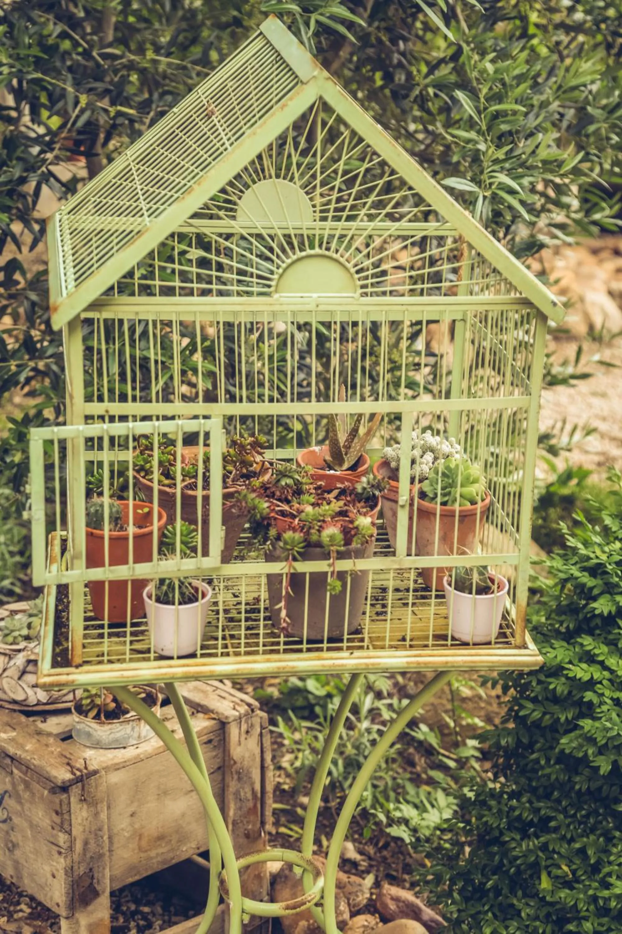 Day in CHAMBRES D'HÔTES L'Oréliane en Provence Adults Only