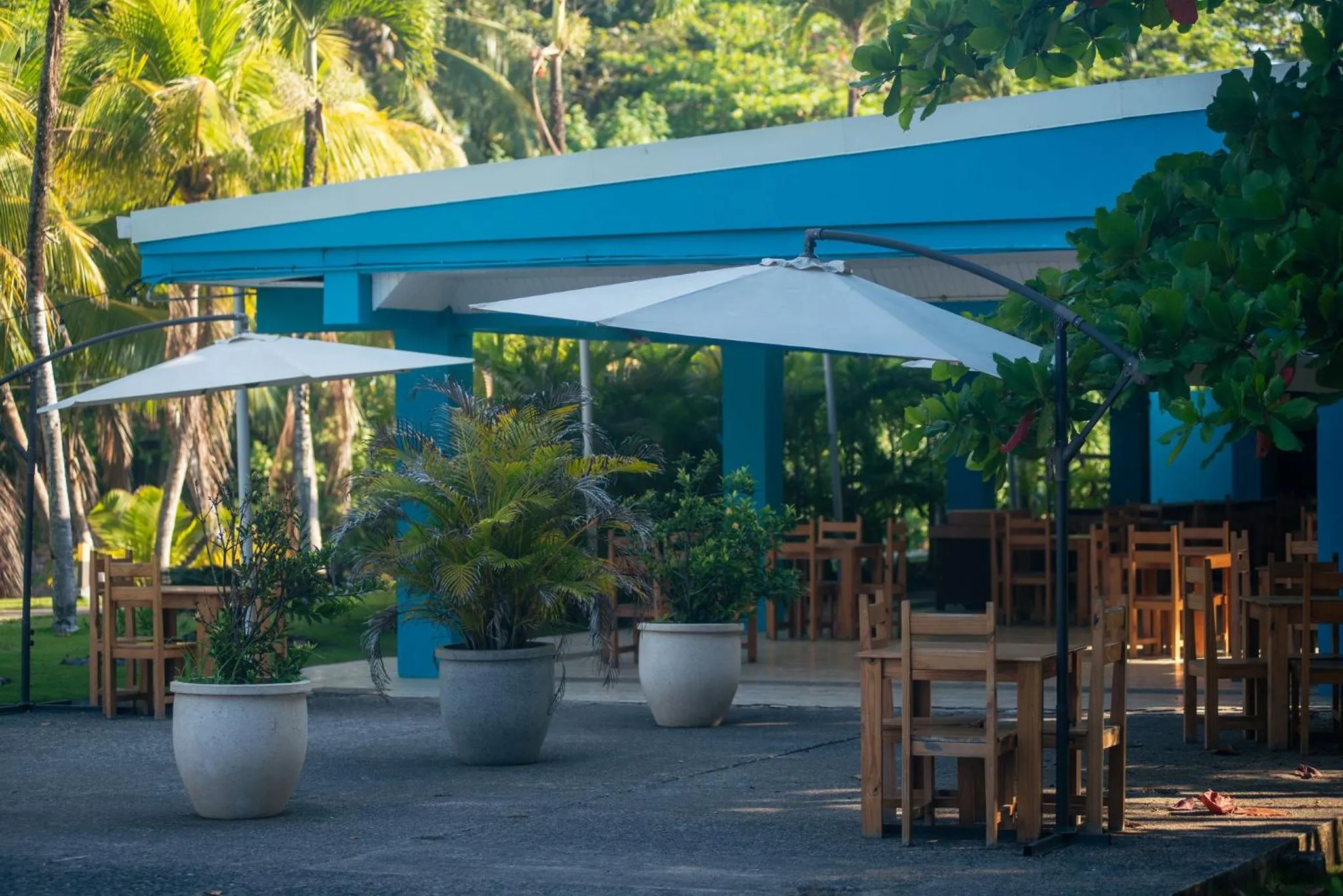 Beach Break Resort & CR Surf Camp