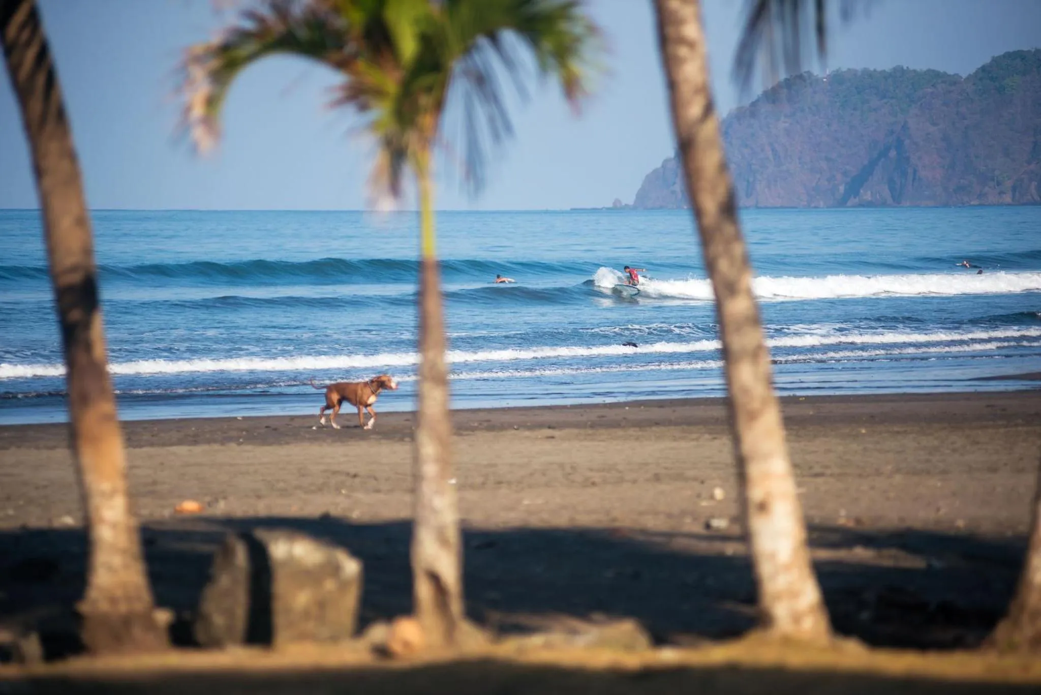 Beach Break Resort & CR Surf Camp