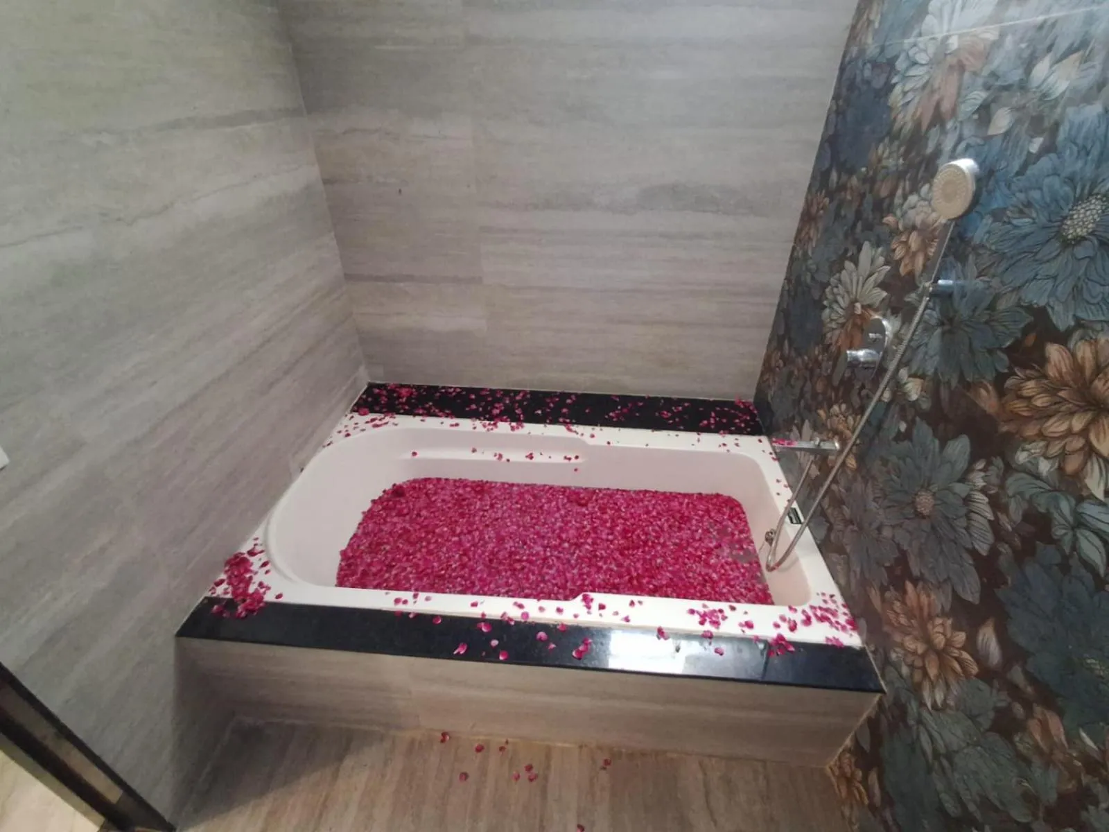 Hotel Aries Pushkar