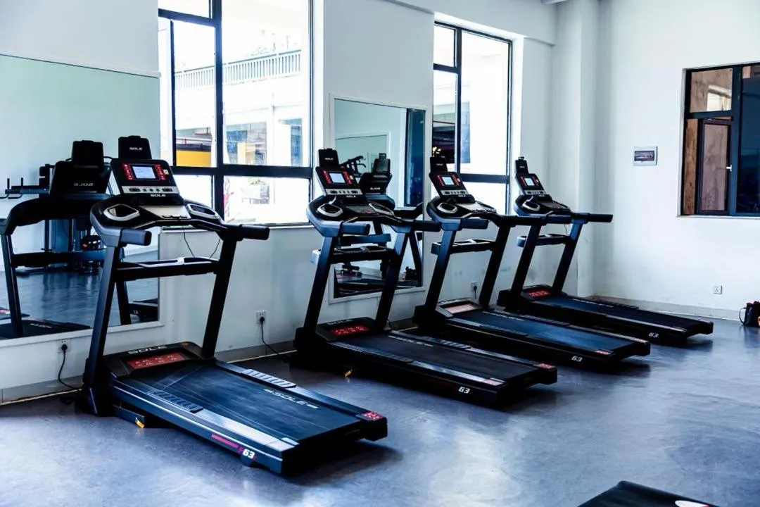 Sports in Greenland Apartment by Link