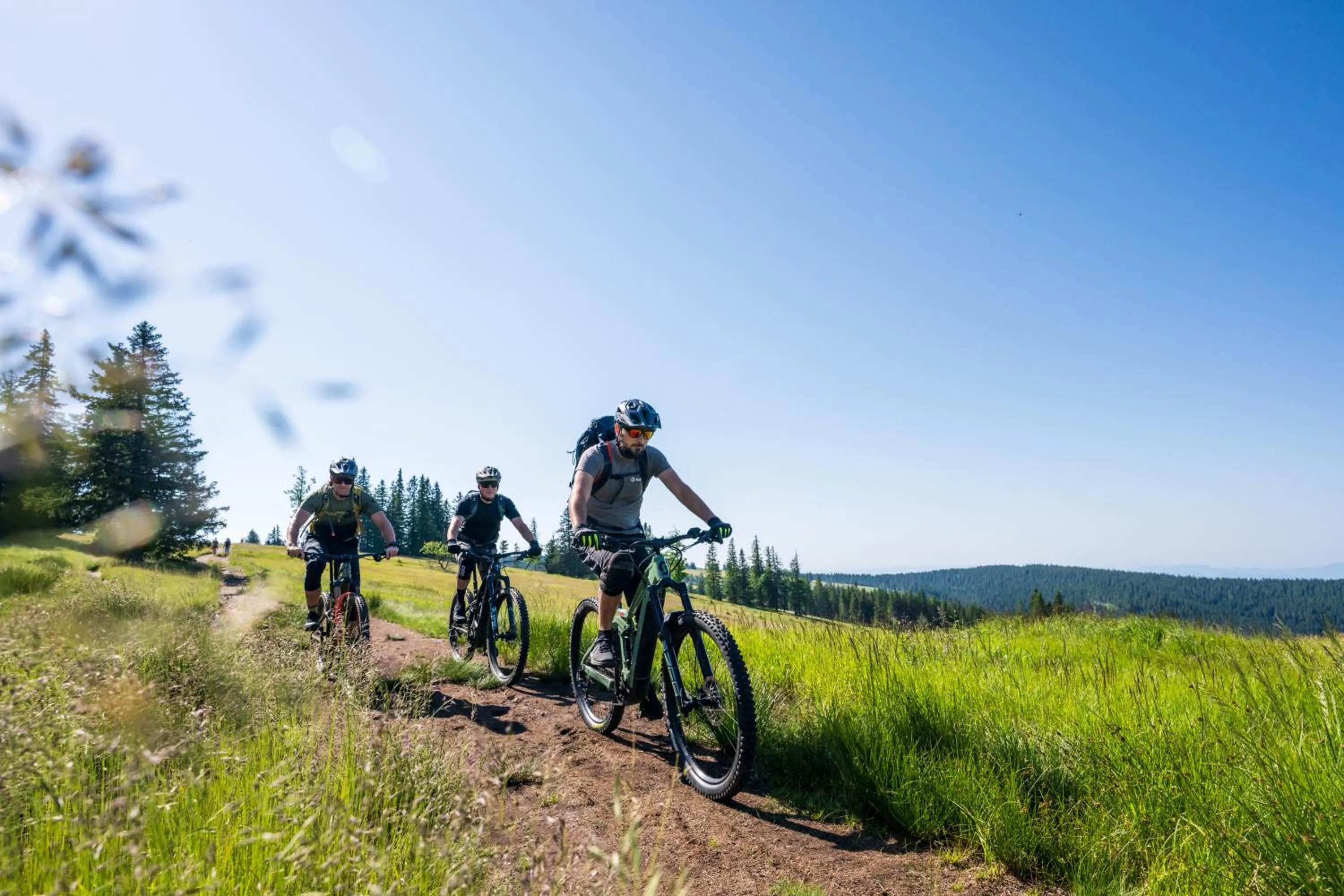 People in Hotel Natura