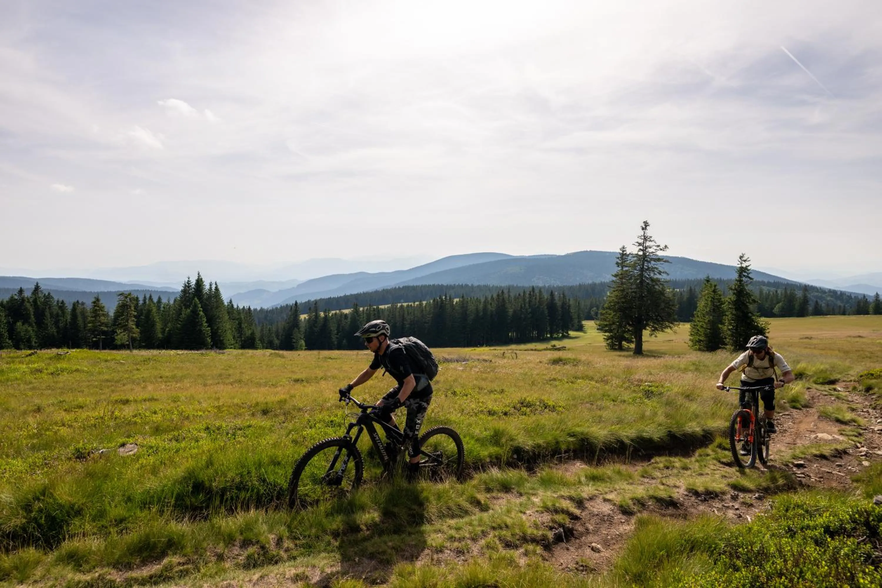 People in Hotel Natura