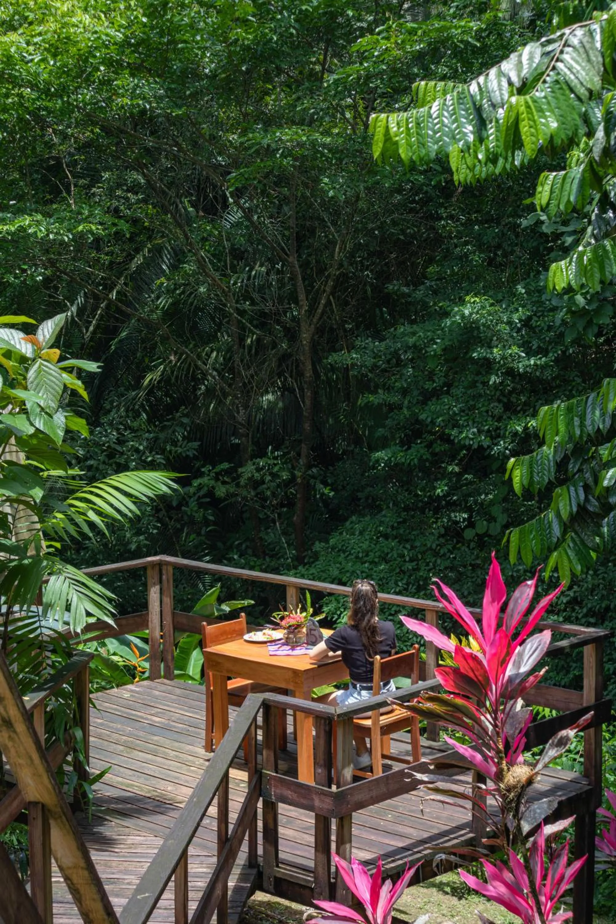 Restaurant/places to eat in Jaguar Creek