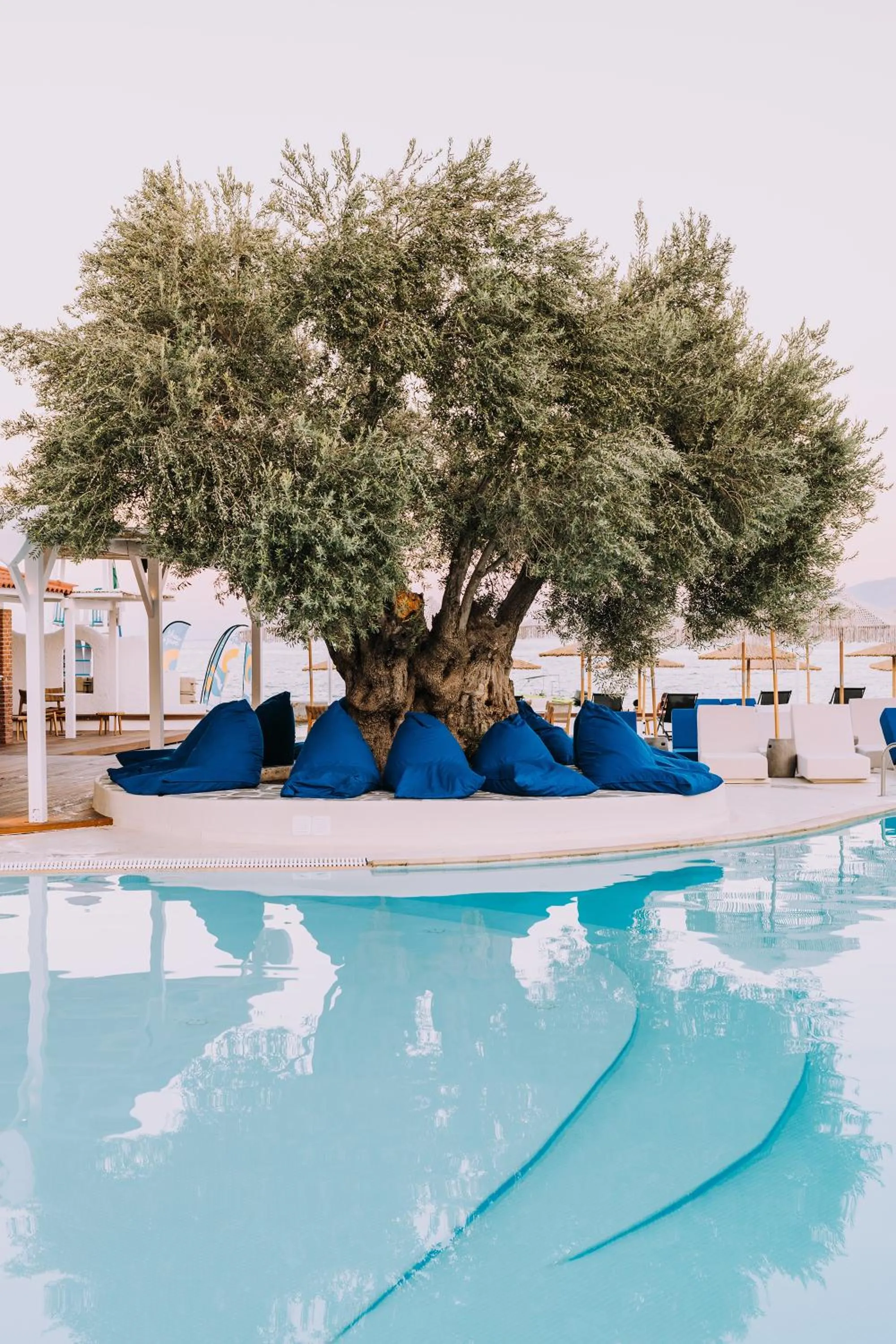 Swimming pool in Brown Beach Evia Island, All Inclusive in Eretria, a member of Brown Hotels