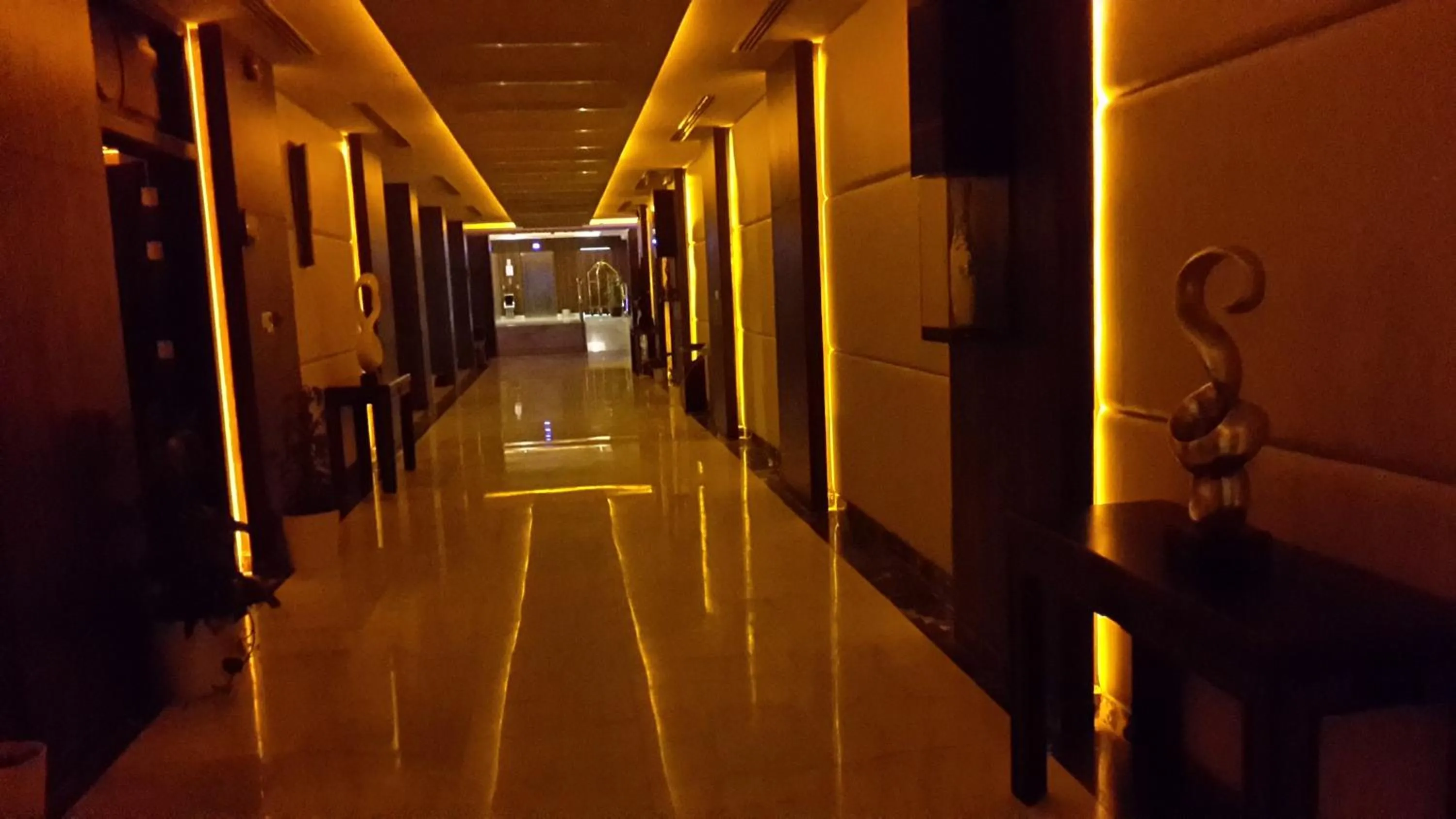 Area and facilities in Raoum Inn Hotel Apartments - Buraydah