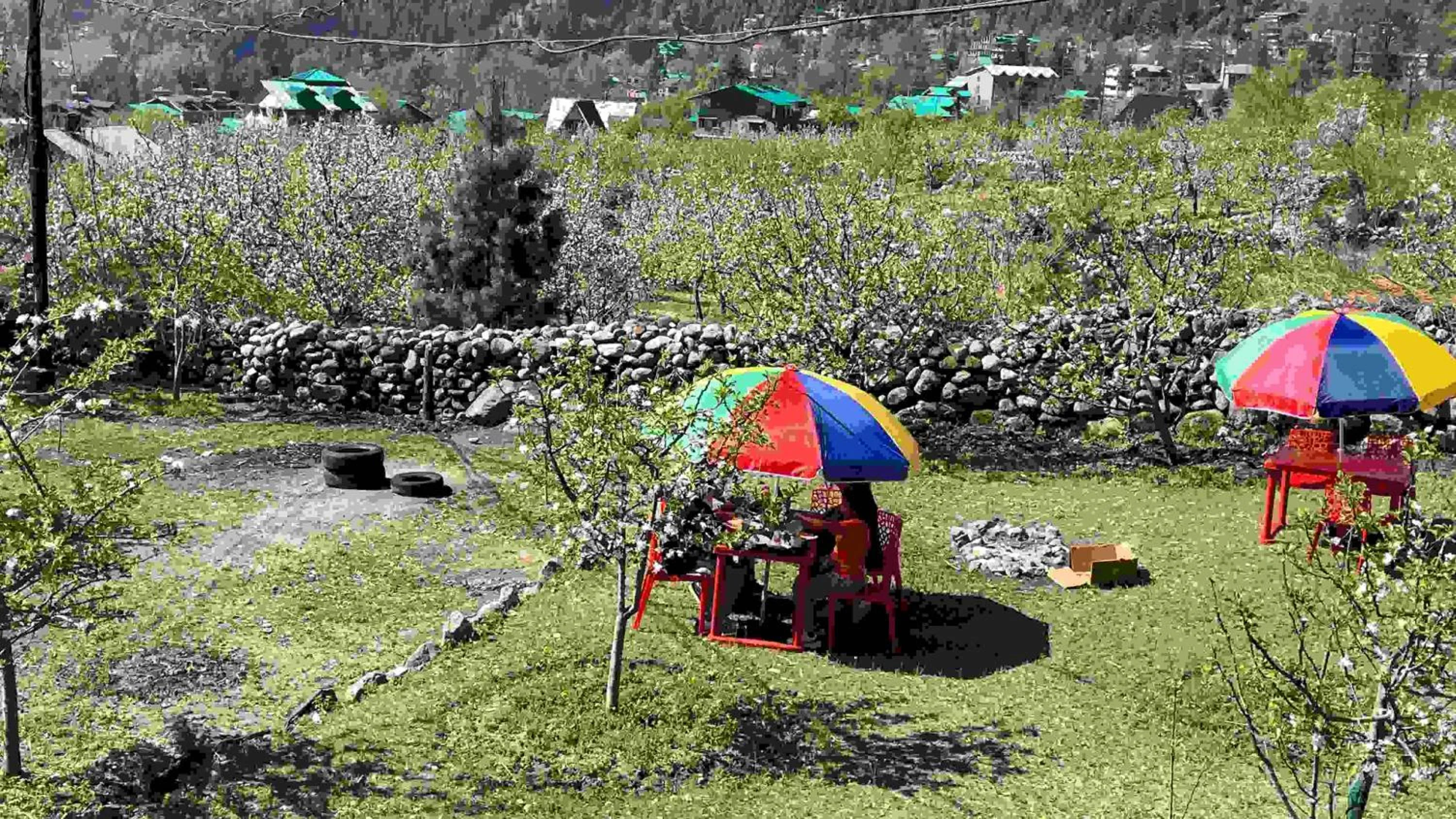 Restaurant/places to eat in WANDER THRIVES INN By Ads Manali