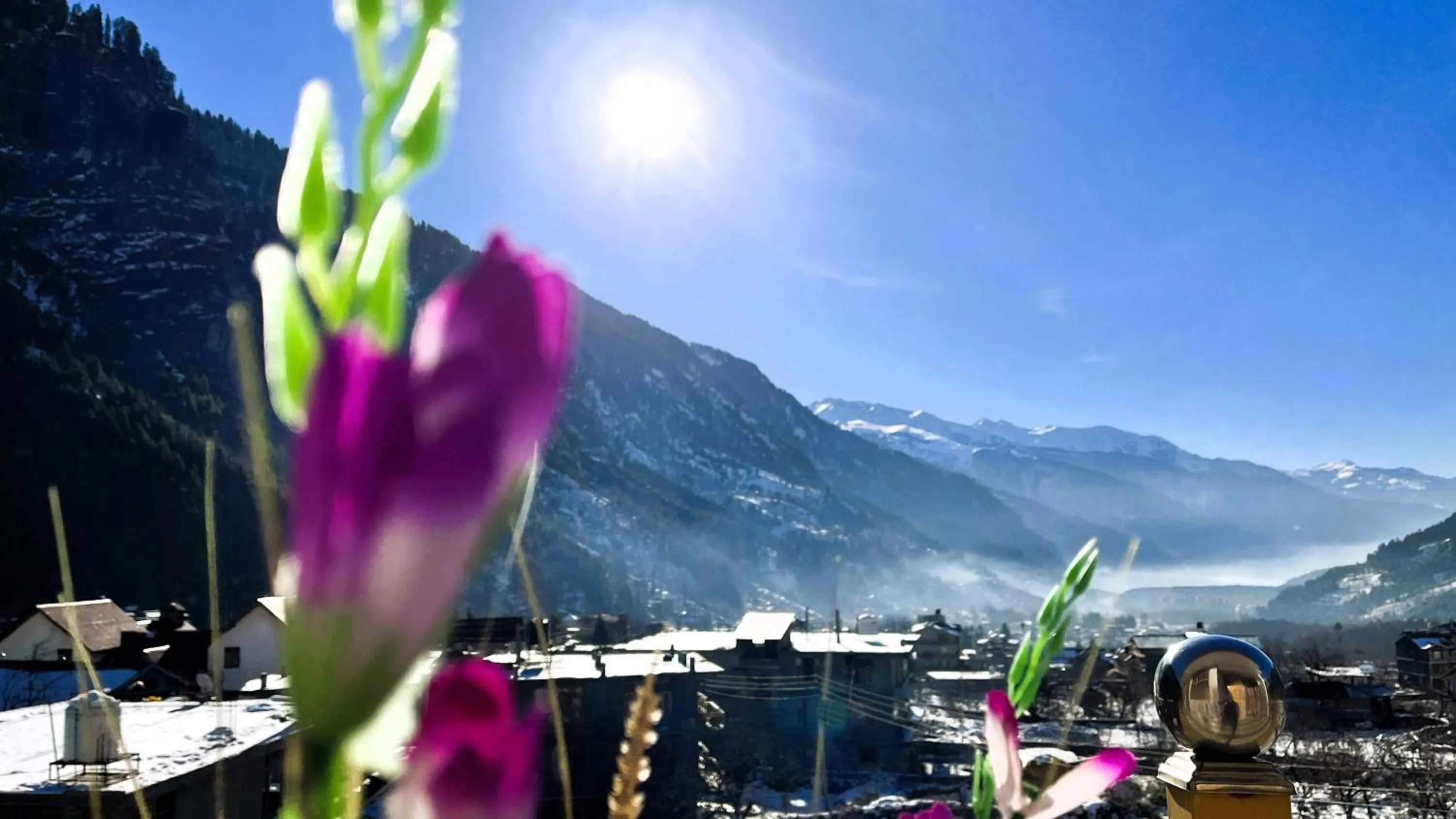 Natural landscape in WANDER THRIVES INN By Ads Manali