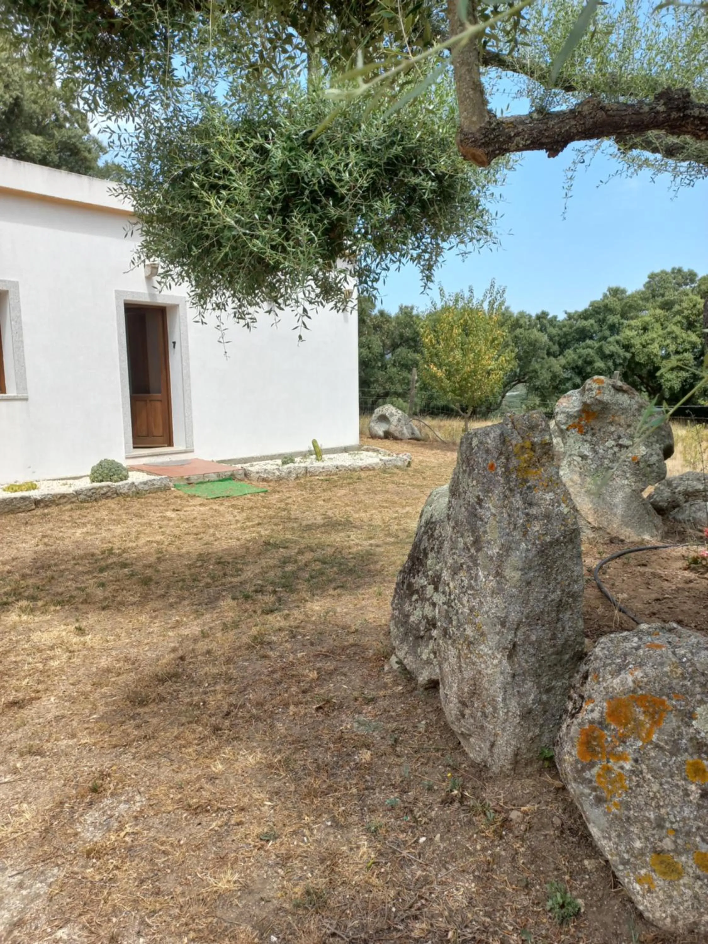 Bathroom in Chicchiritanos