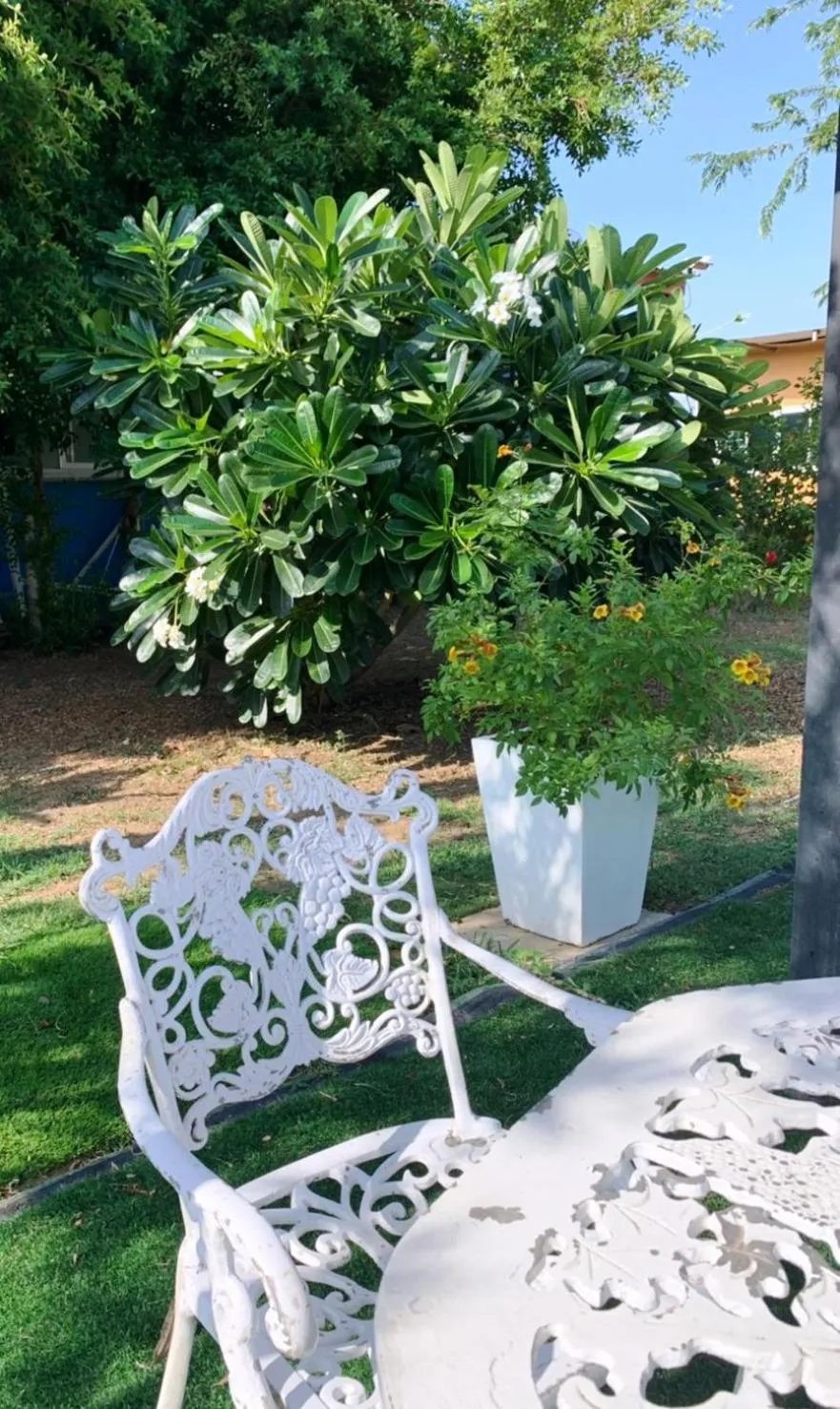 Garden view in Garden Place