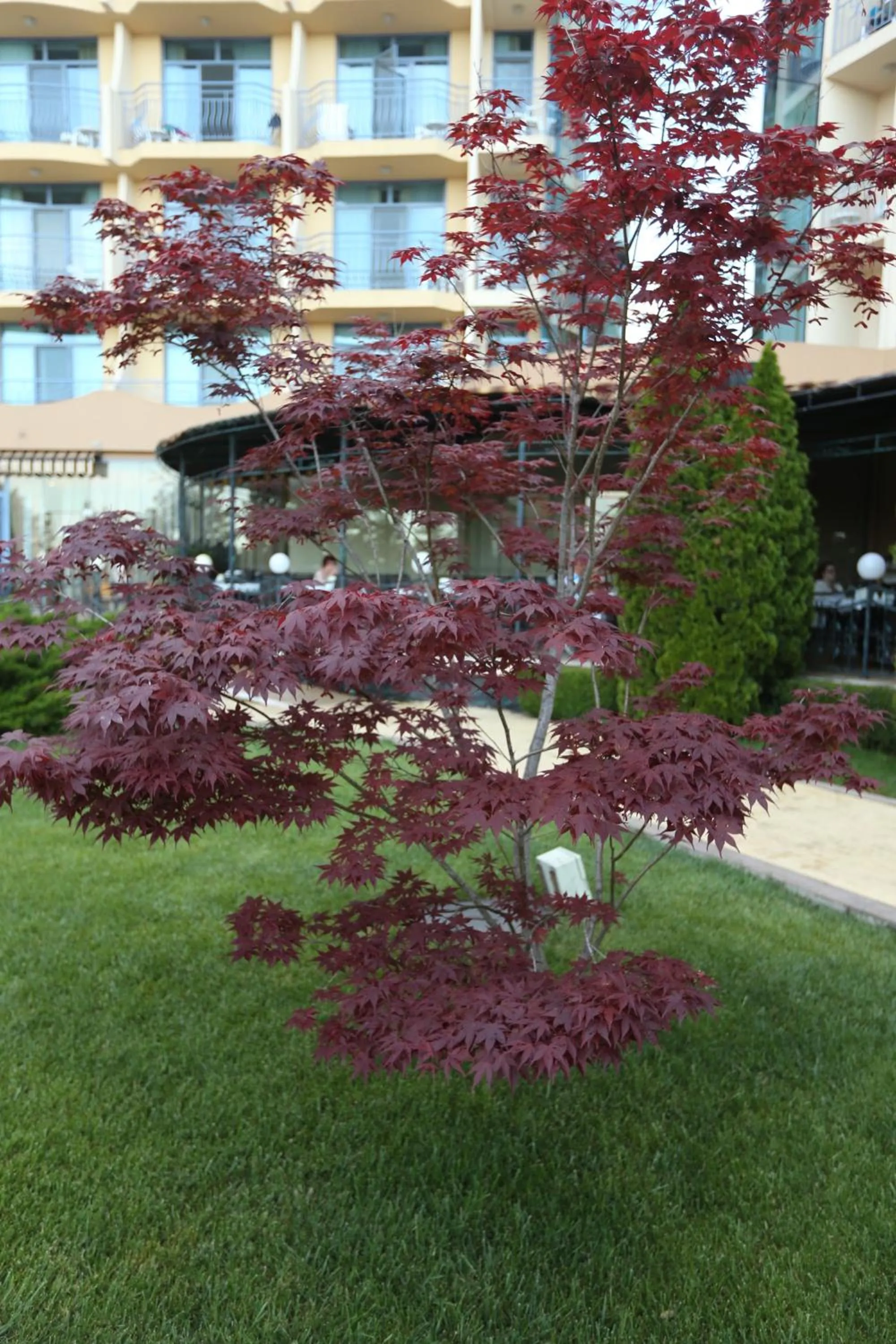 Day in Tiara Beach - All Inclusive