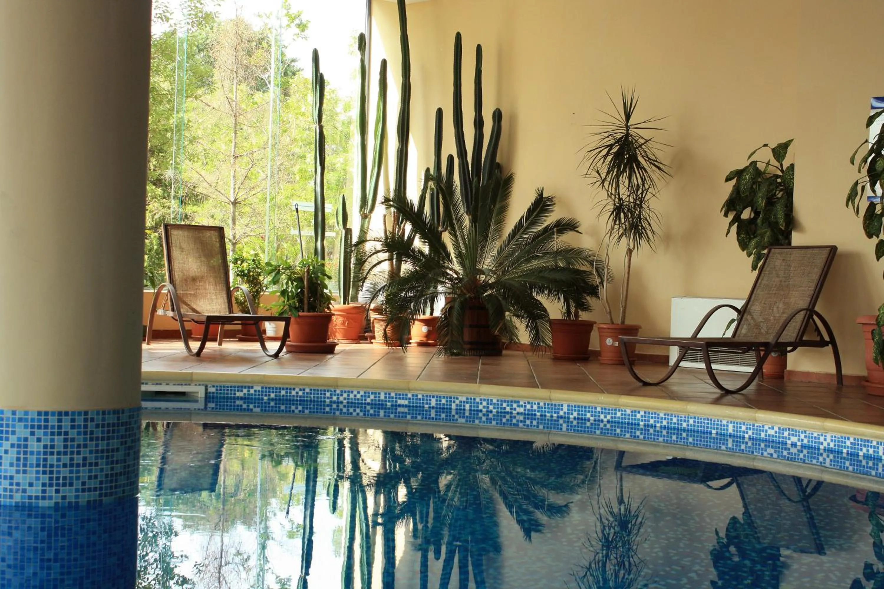 Swimming pool in Tiara Beach - All Inclusive