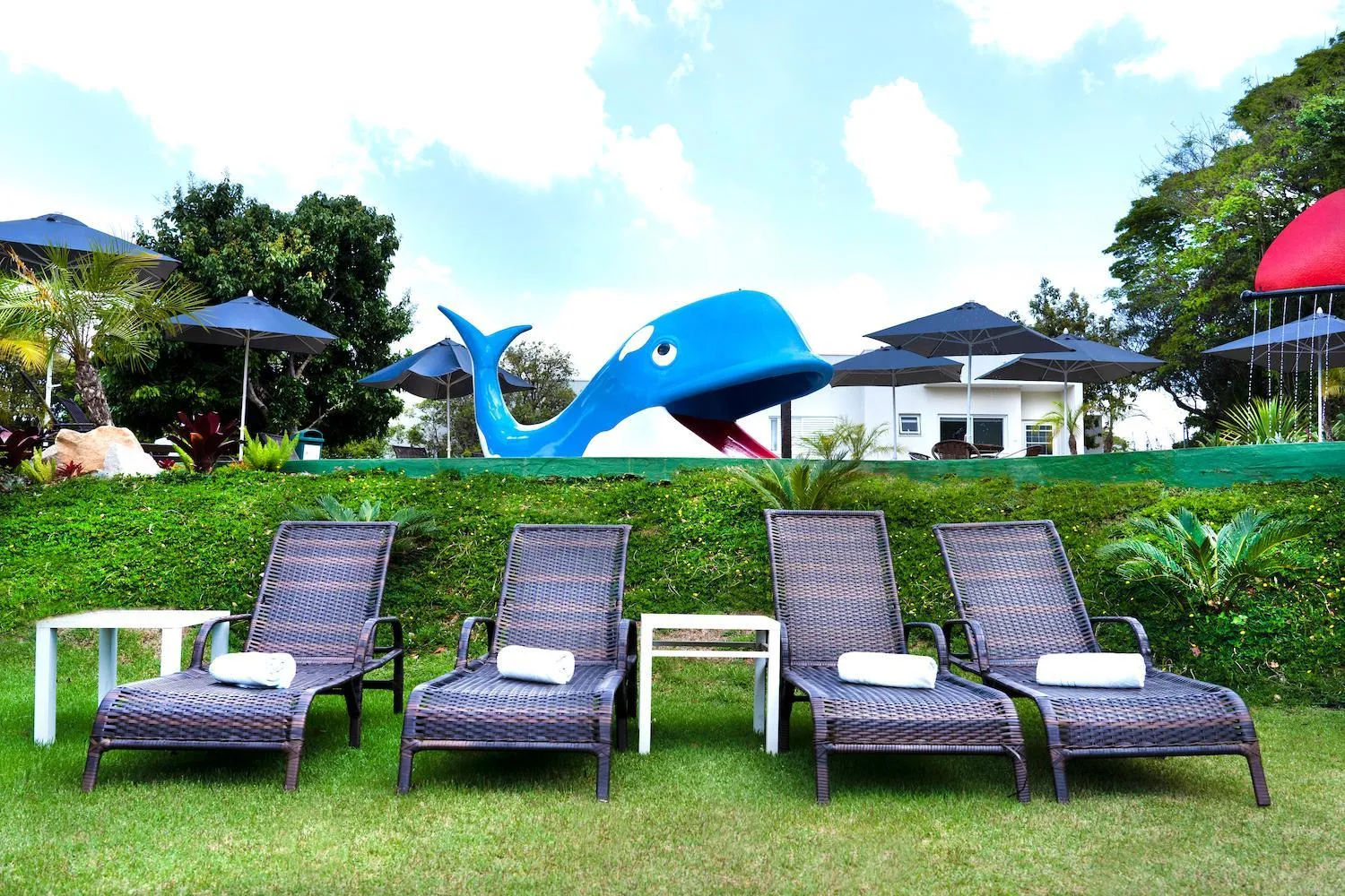 Natural landscape in Valinhos Plaza Hotel