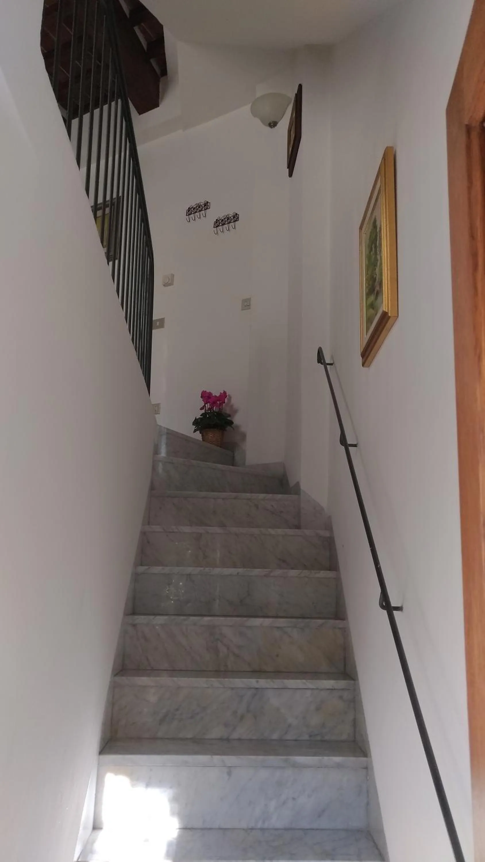 Facade/entrance in Residence Domus