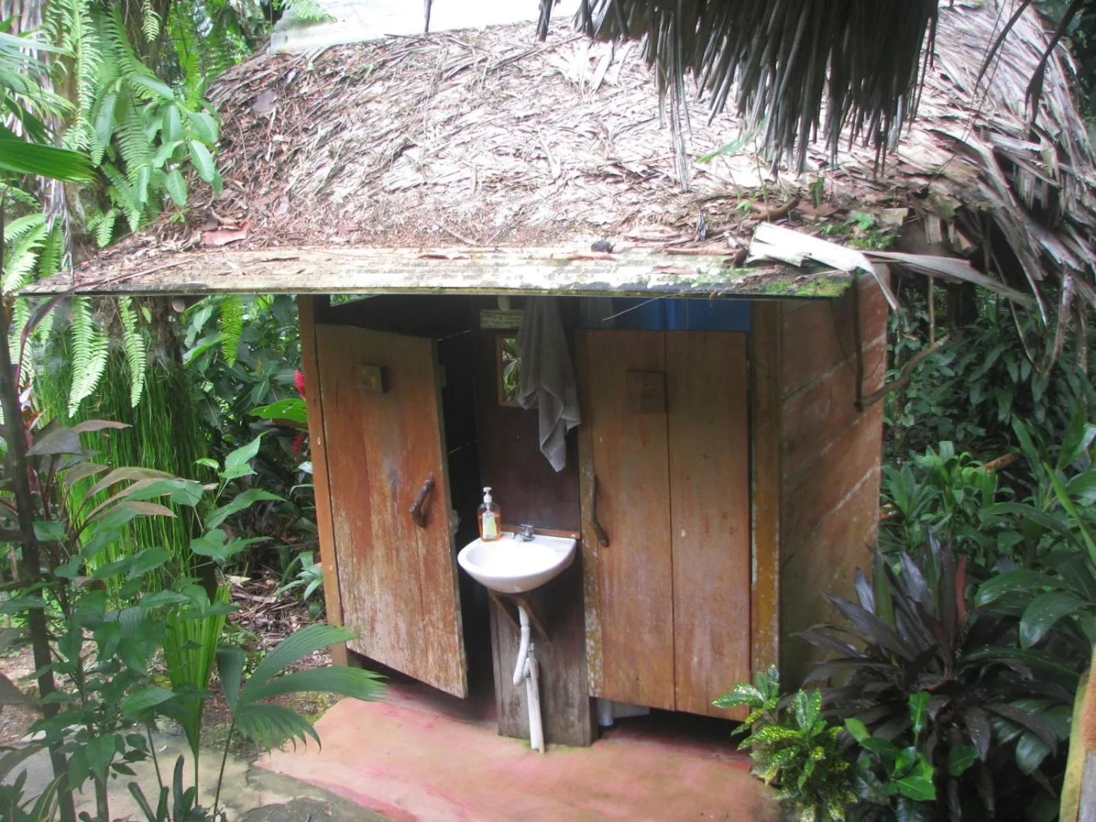 Single Bed in Mixed Dormitory Room in El Hotelito Perdido