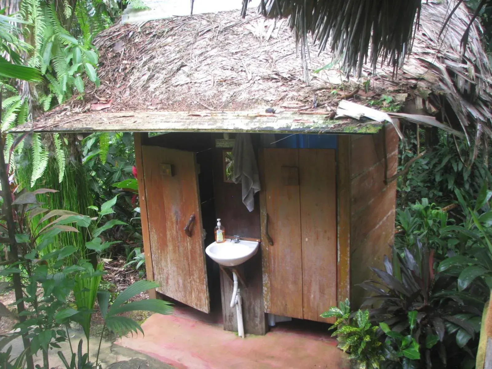 Single Bed in Mixed Dormitory Room in El Hotelito Perdido Single Bed in Mixed Dormitory Room in El Hotelito Perdido