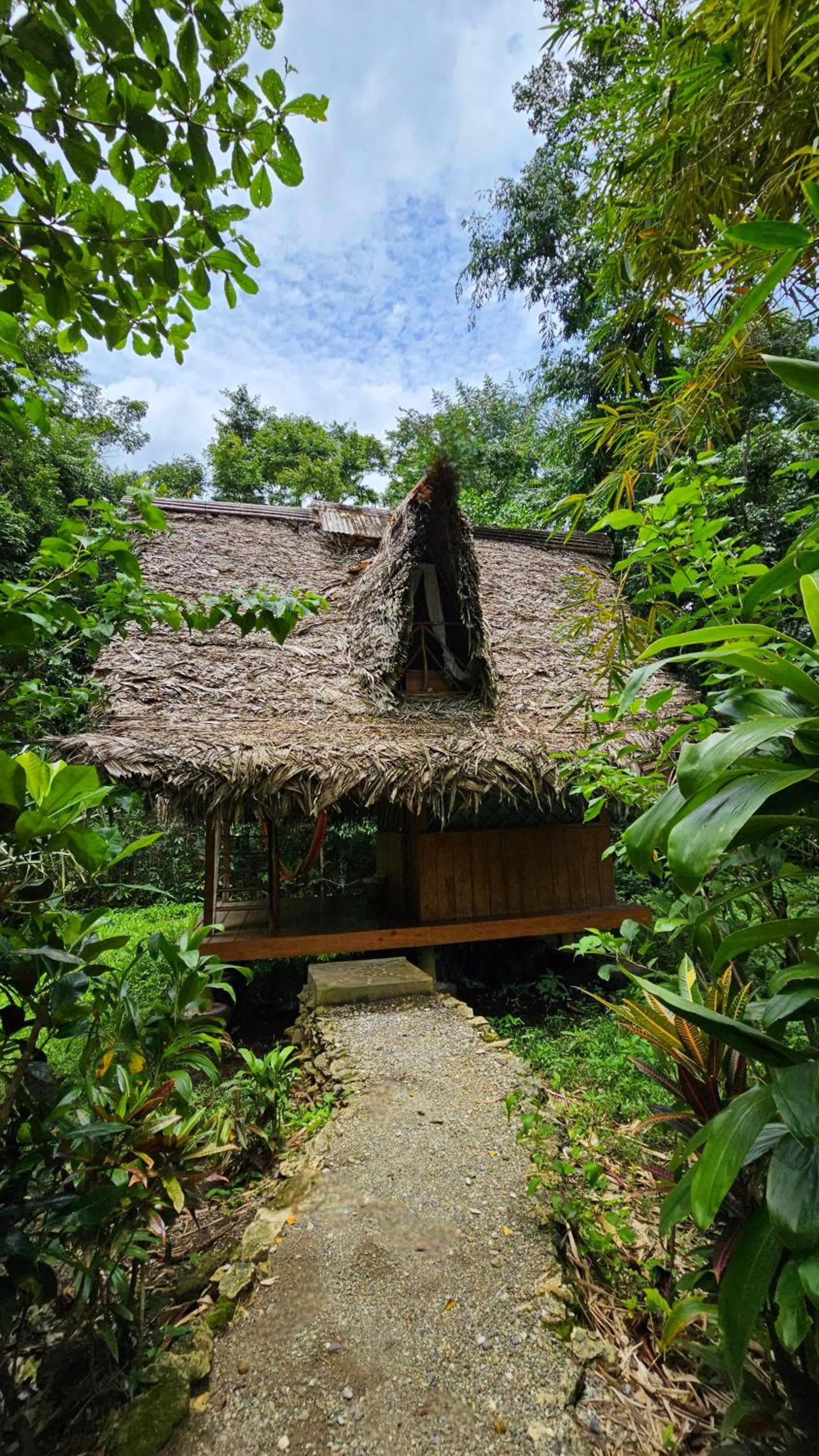 Economy Double Room - single occupancy in El Hotelito Perdido