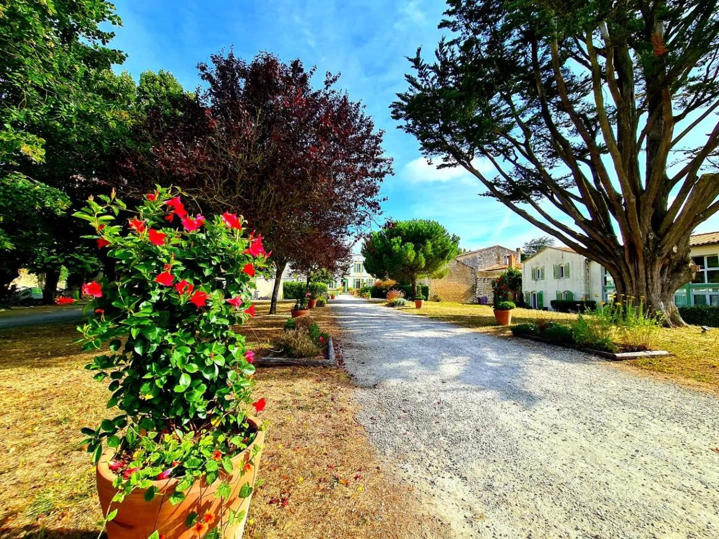 Garden in Appartement 91 Palais des Gouverneurs