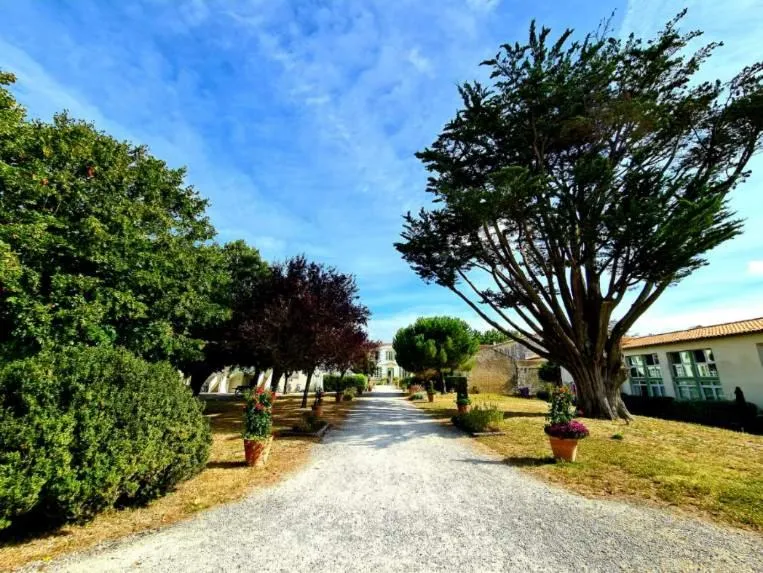 Garden in Appartement 91 Palais des Gouverneurs