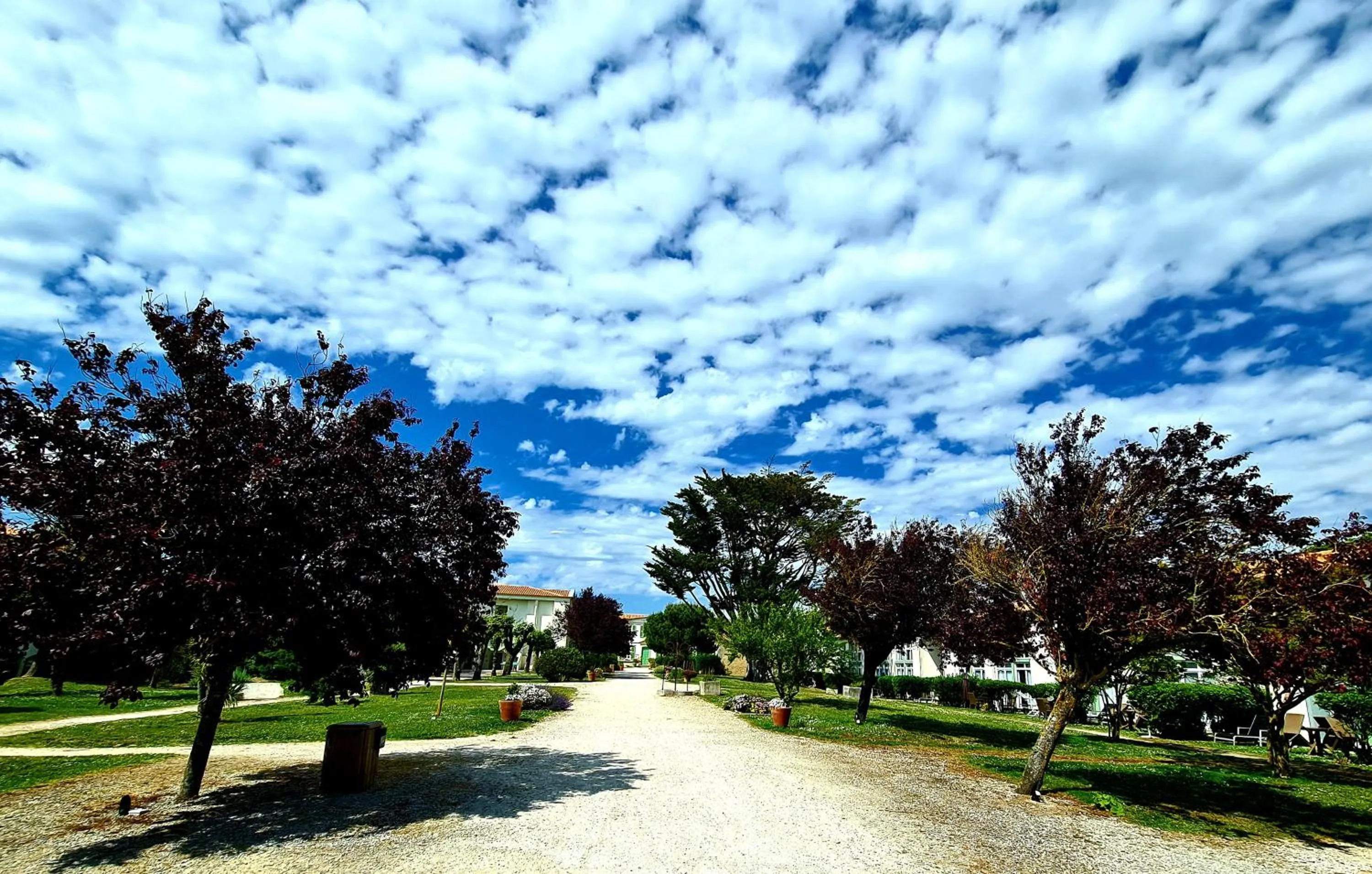 Garden in Appartement 91 Palais des Gouverneurs