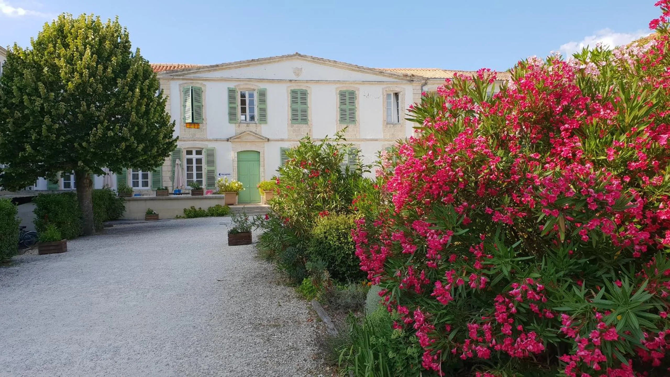 Garden in Appartement 91 Palais des Gouverneurs