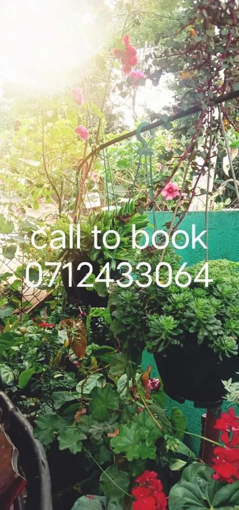 Garden in Ella Tunnel Corner Inn