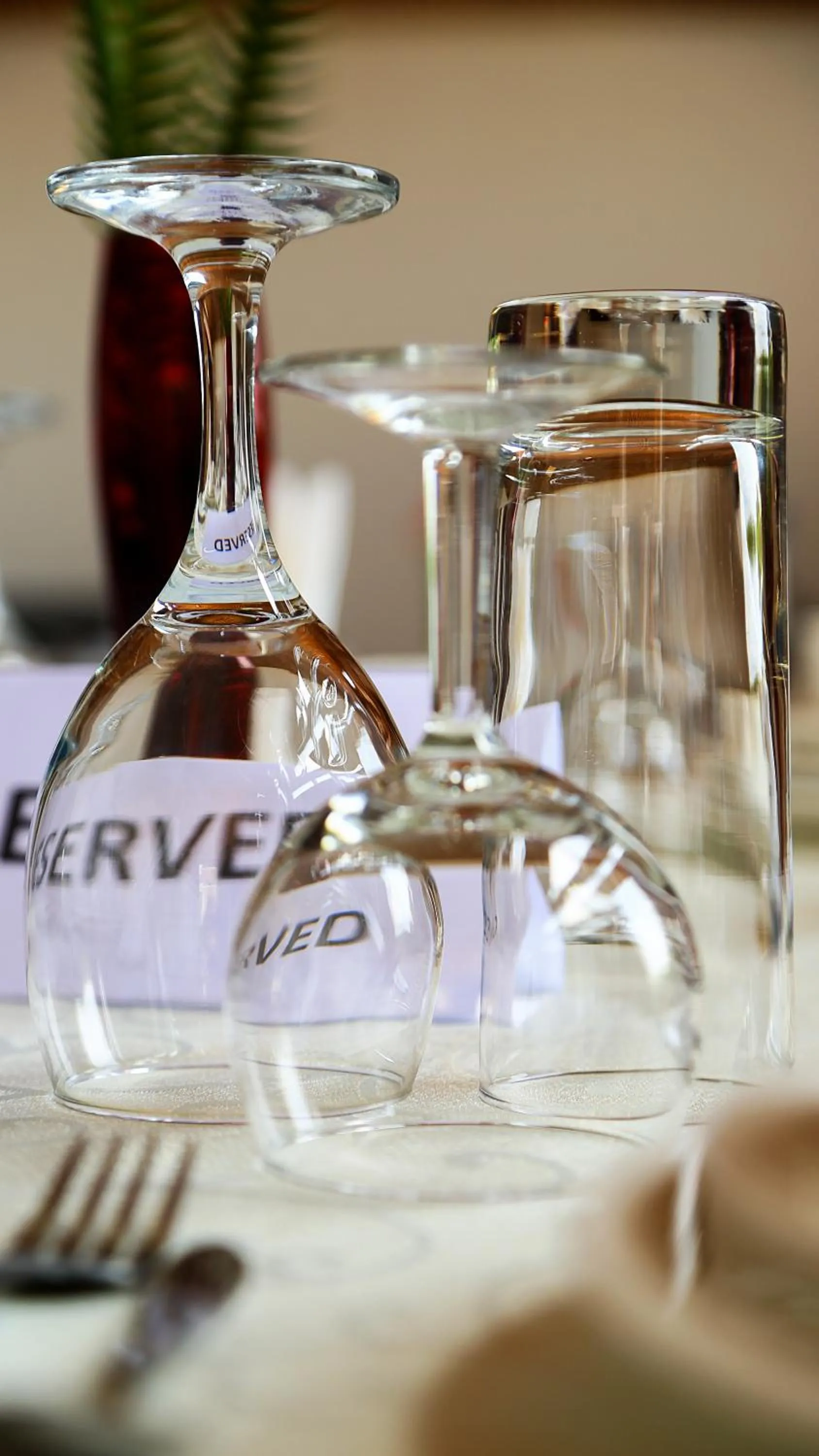 Drinks in Quiet Haven Hotel