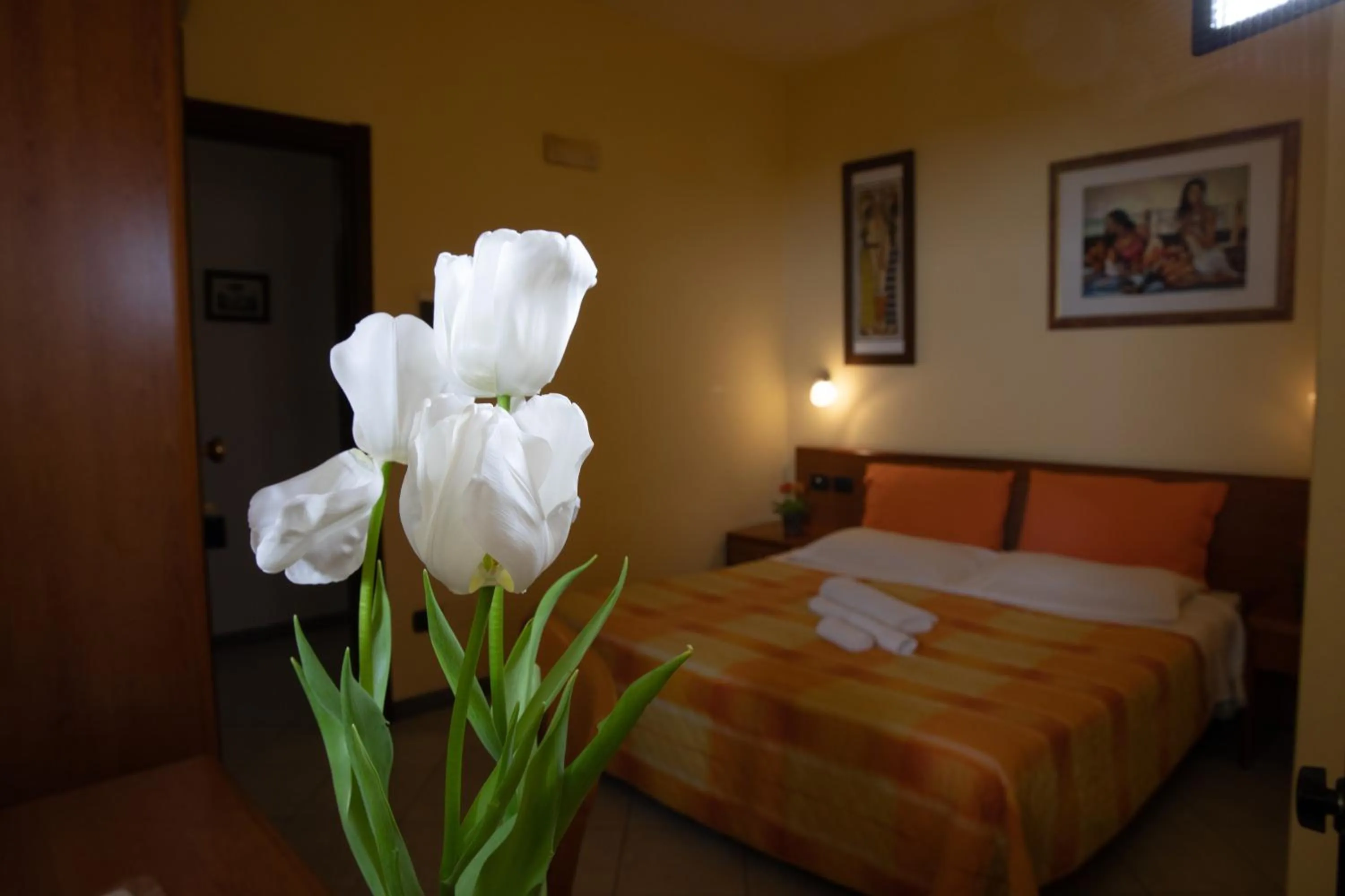 Photo of the whole room in Hotel Merlino