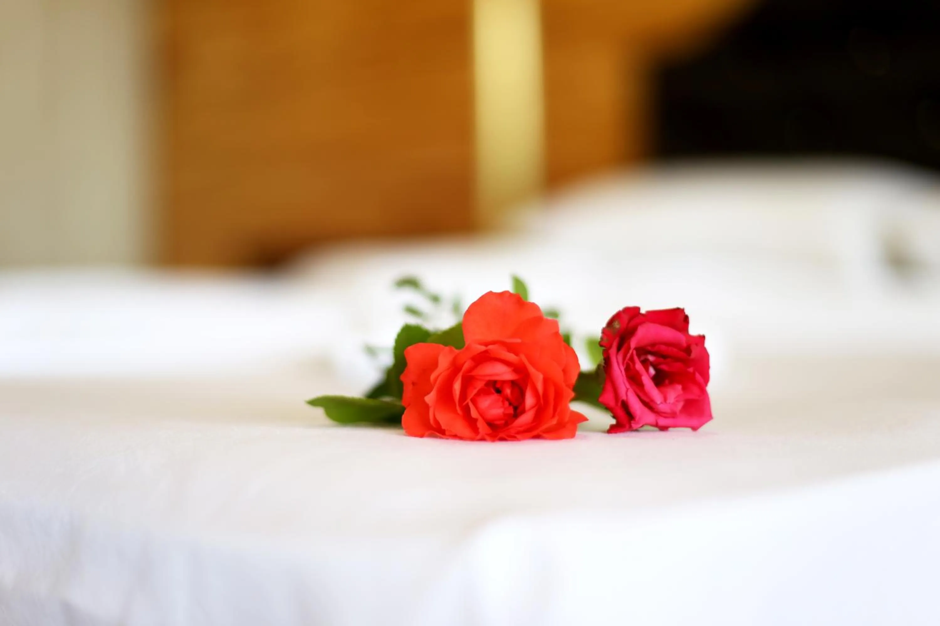 Photo of the whole room, Bed in Adrasan Shambala