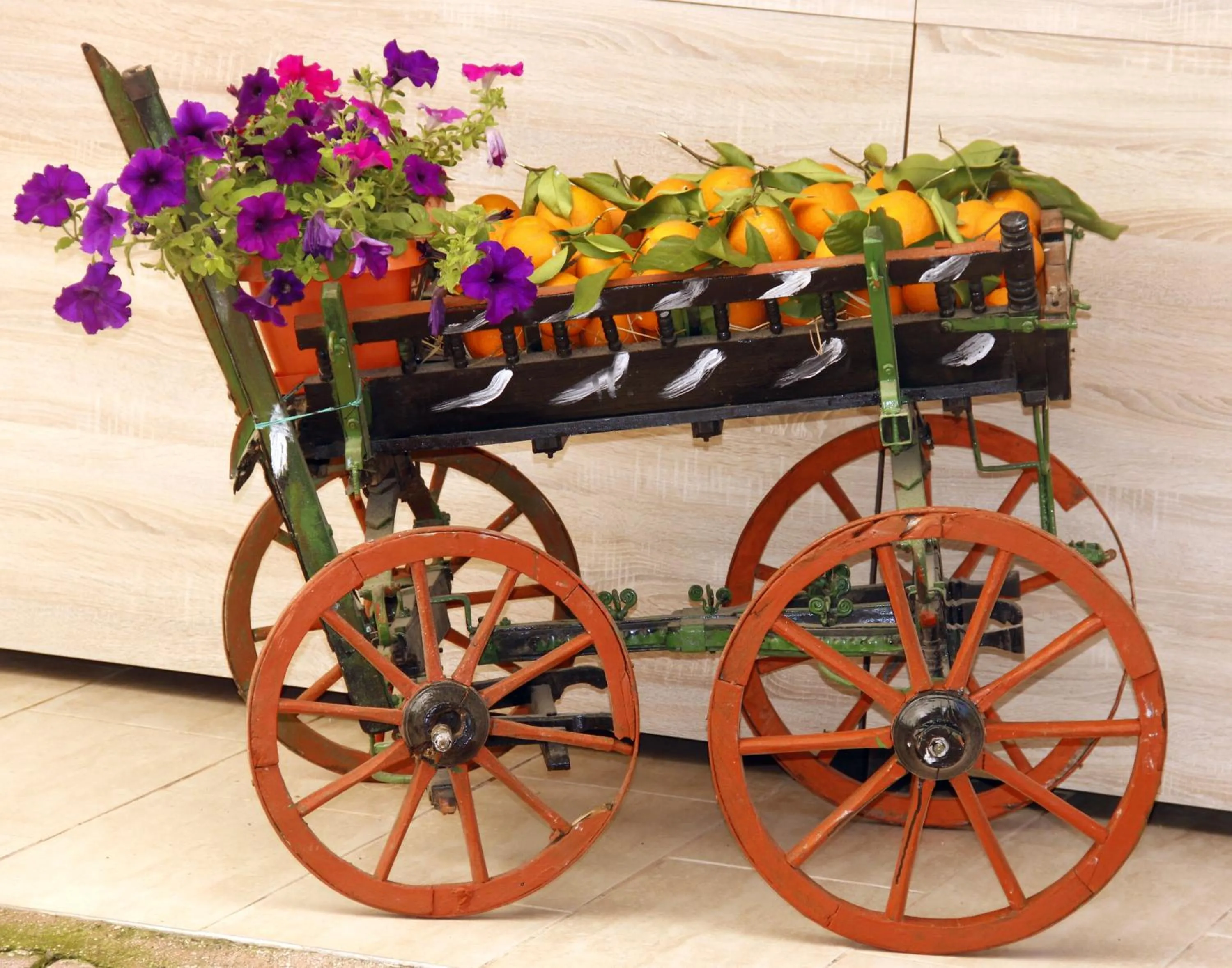 On site in Adrasan Shambala