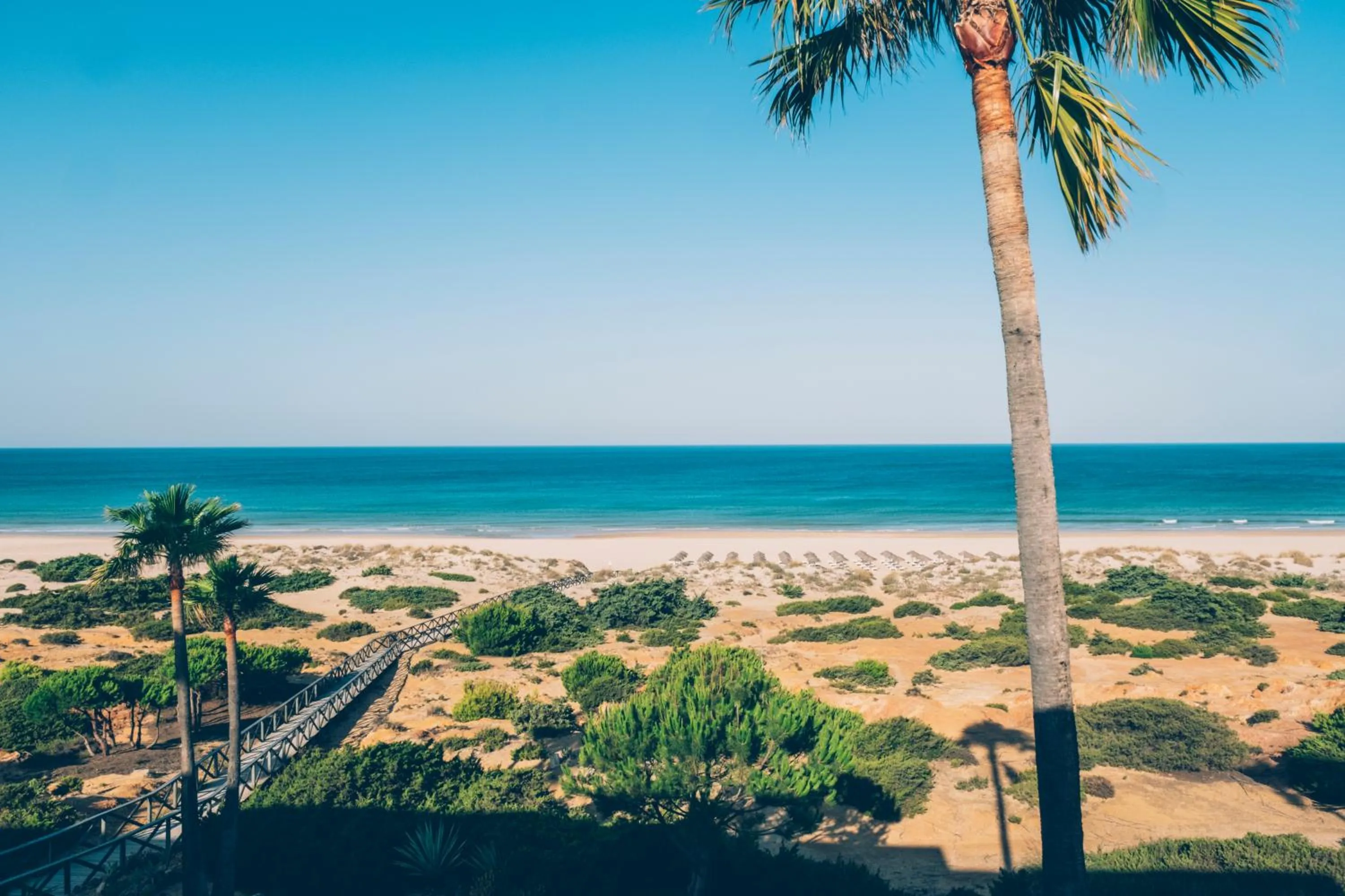 Natural landscape in Iberostar Waves Royal Andalus