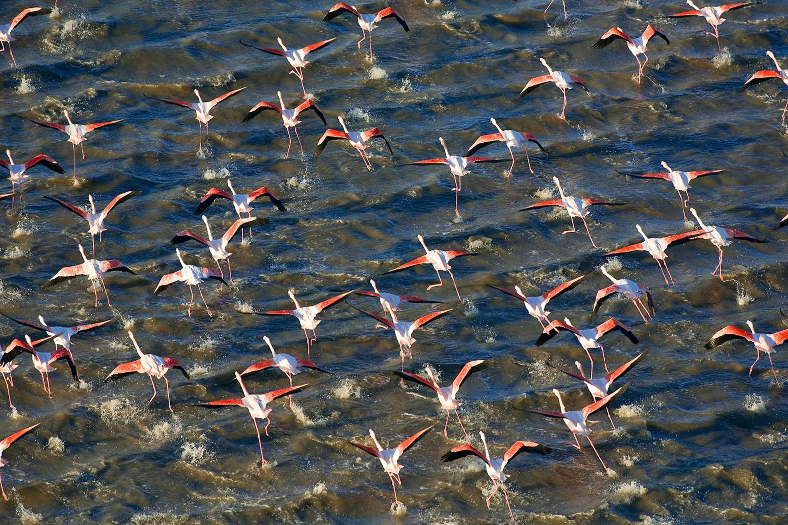 Nearby landmark in Les Jardins de Baracane