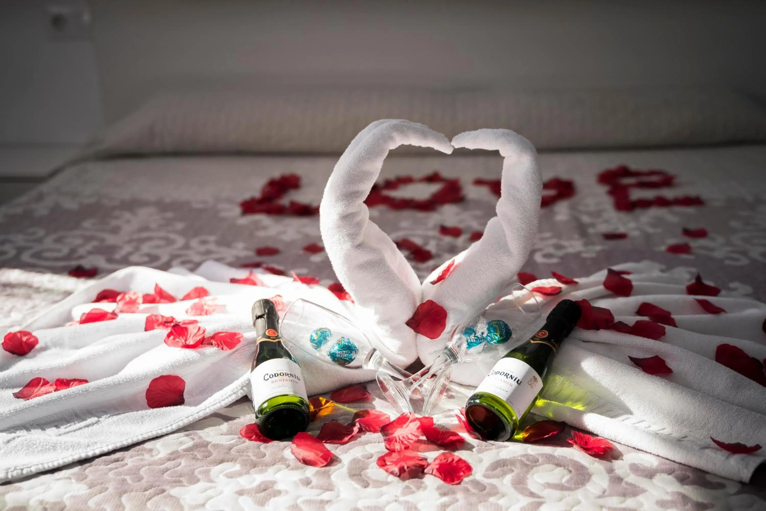 Hostal Goyesco Plaza