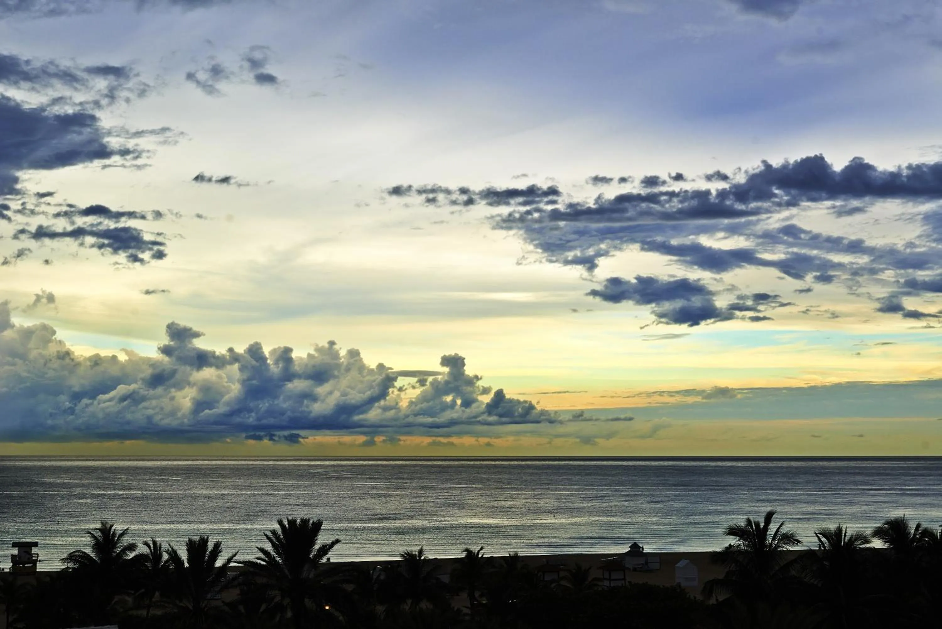 Natural landscape in Nautilus Sonesta Miami Beach
