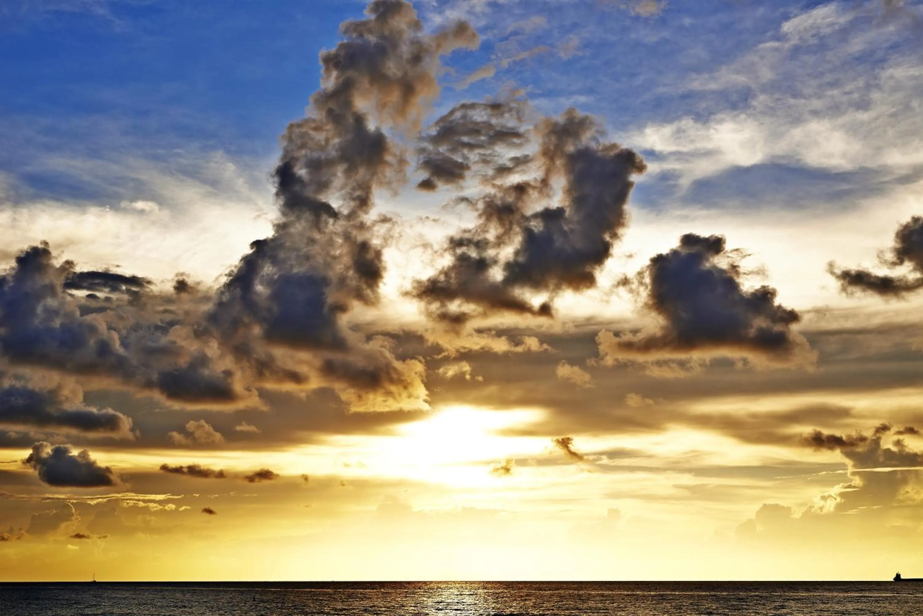 Natural landscape in Nautilus Sonesta Miami Beach