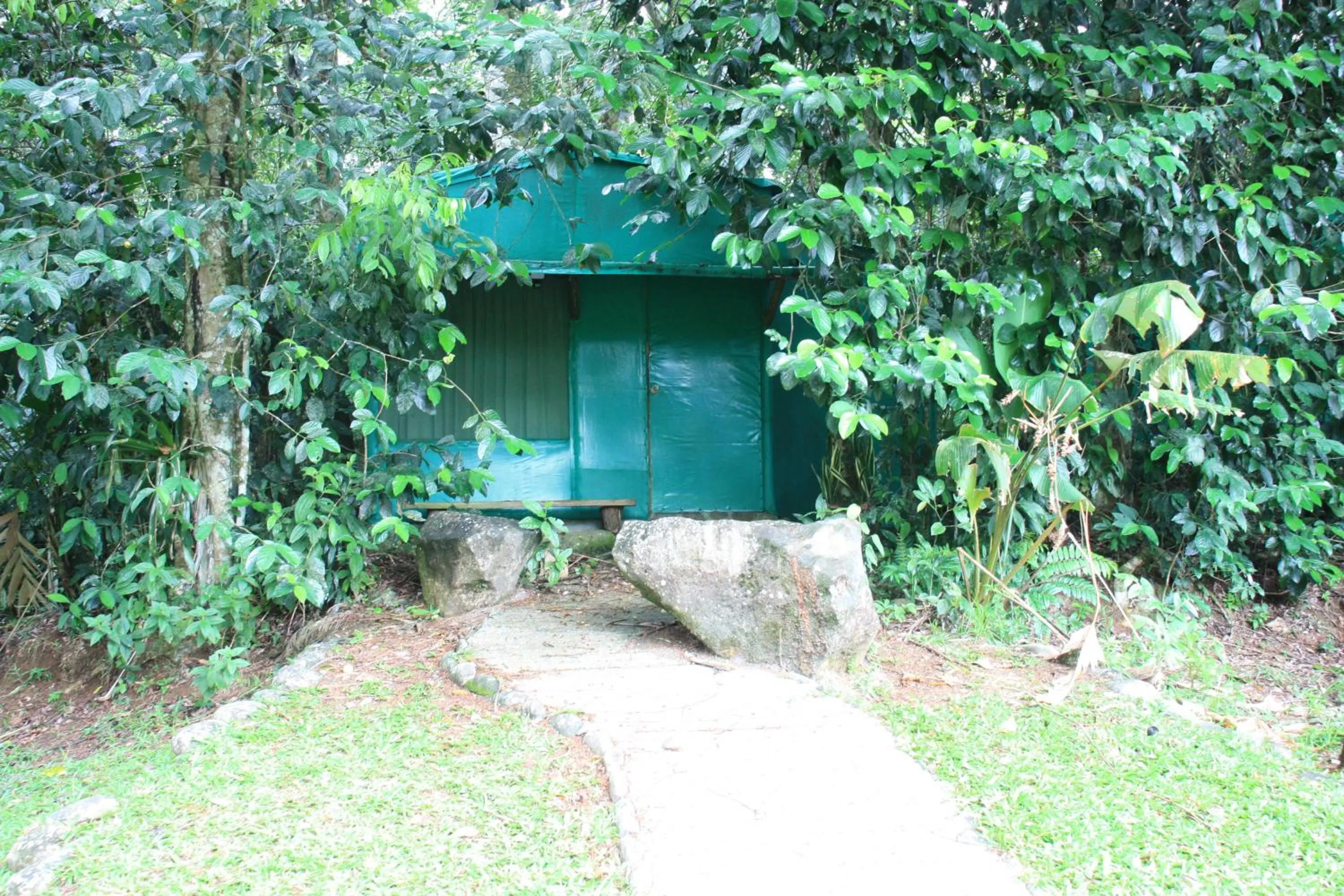 Day in Hotel del Bosque