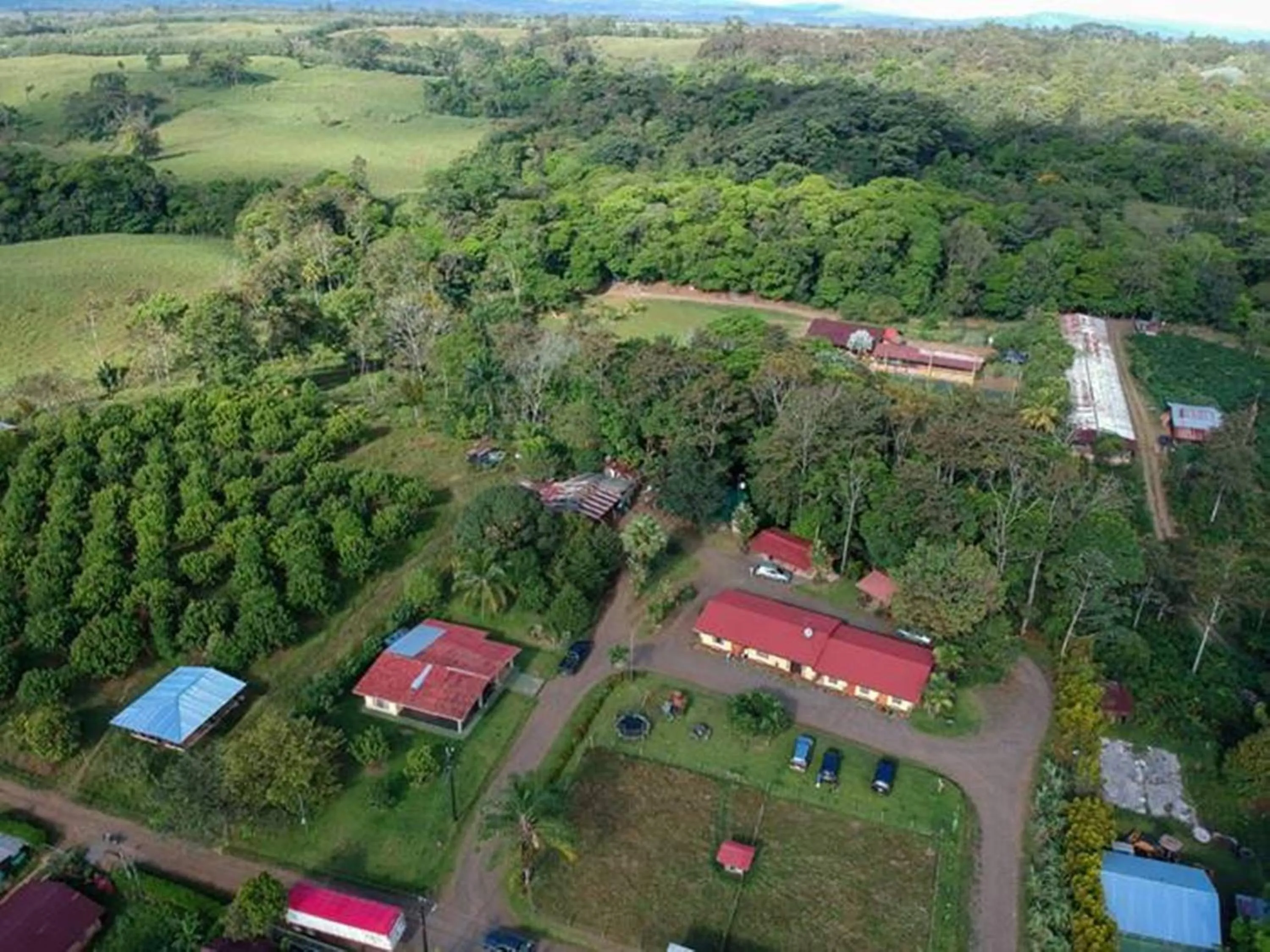Bird's eye view in Hotel del Bosque