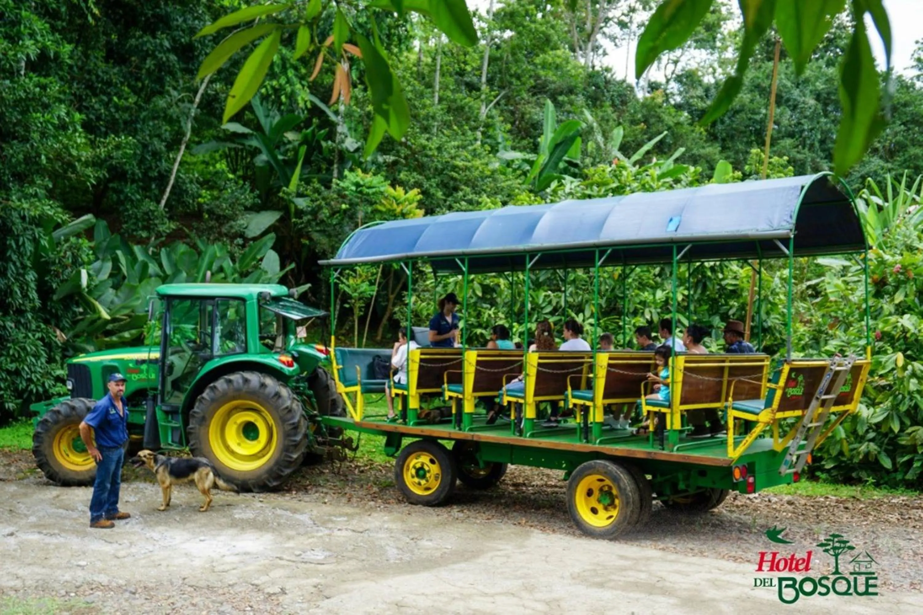 Activities in Hotel del Bosque