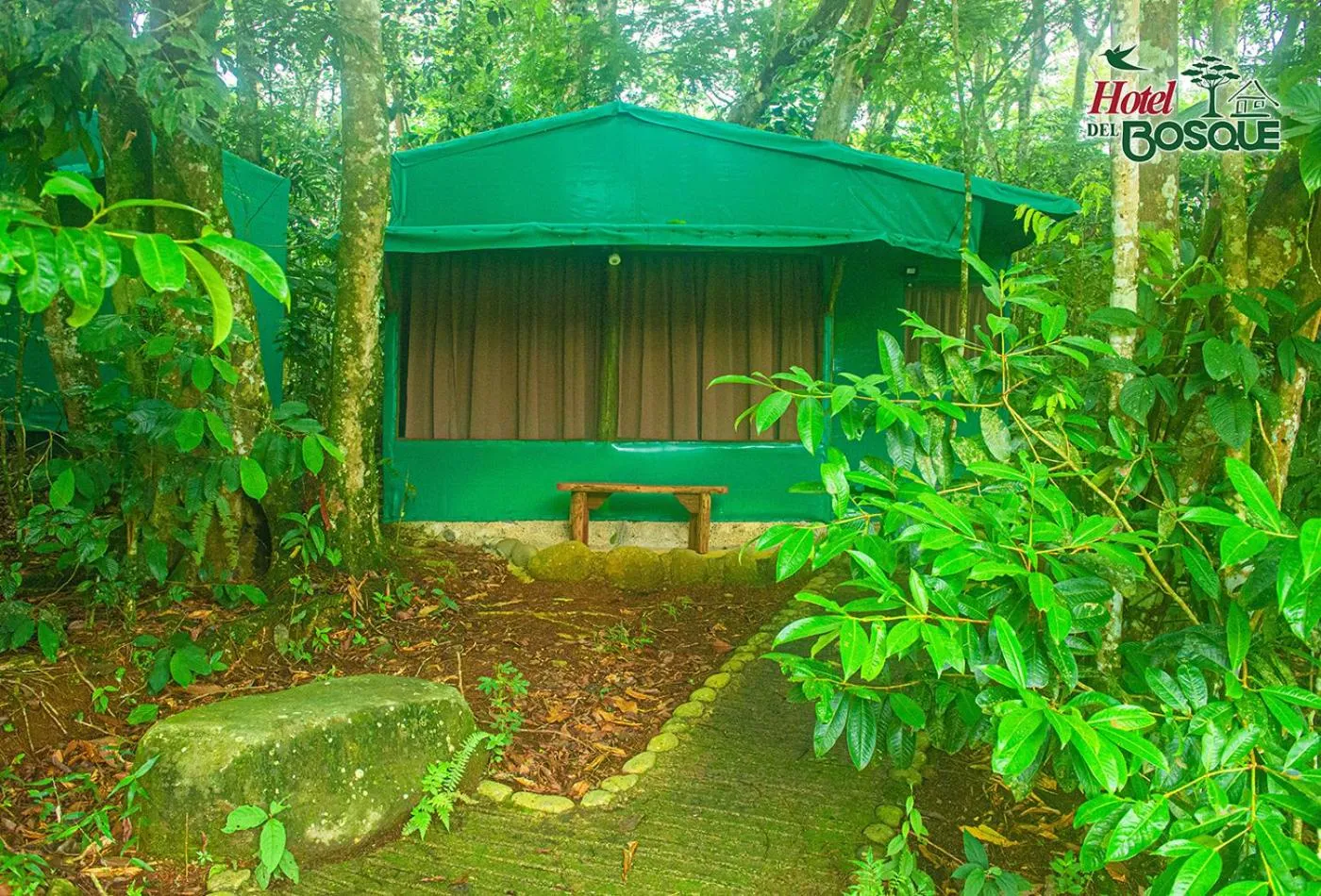 Garden in Hotel del Bosque